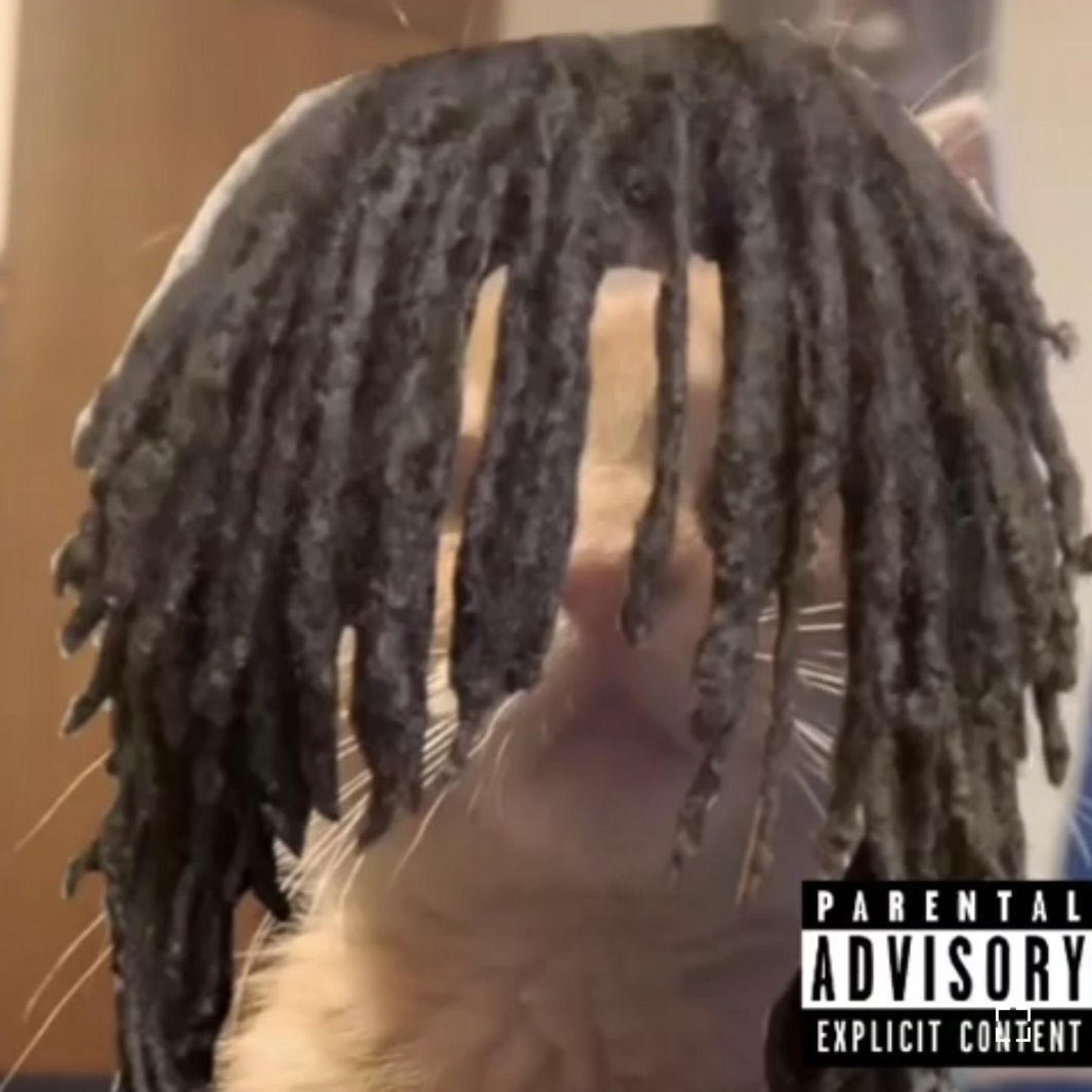 Hella Racks by peypal cover art
