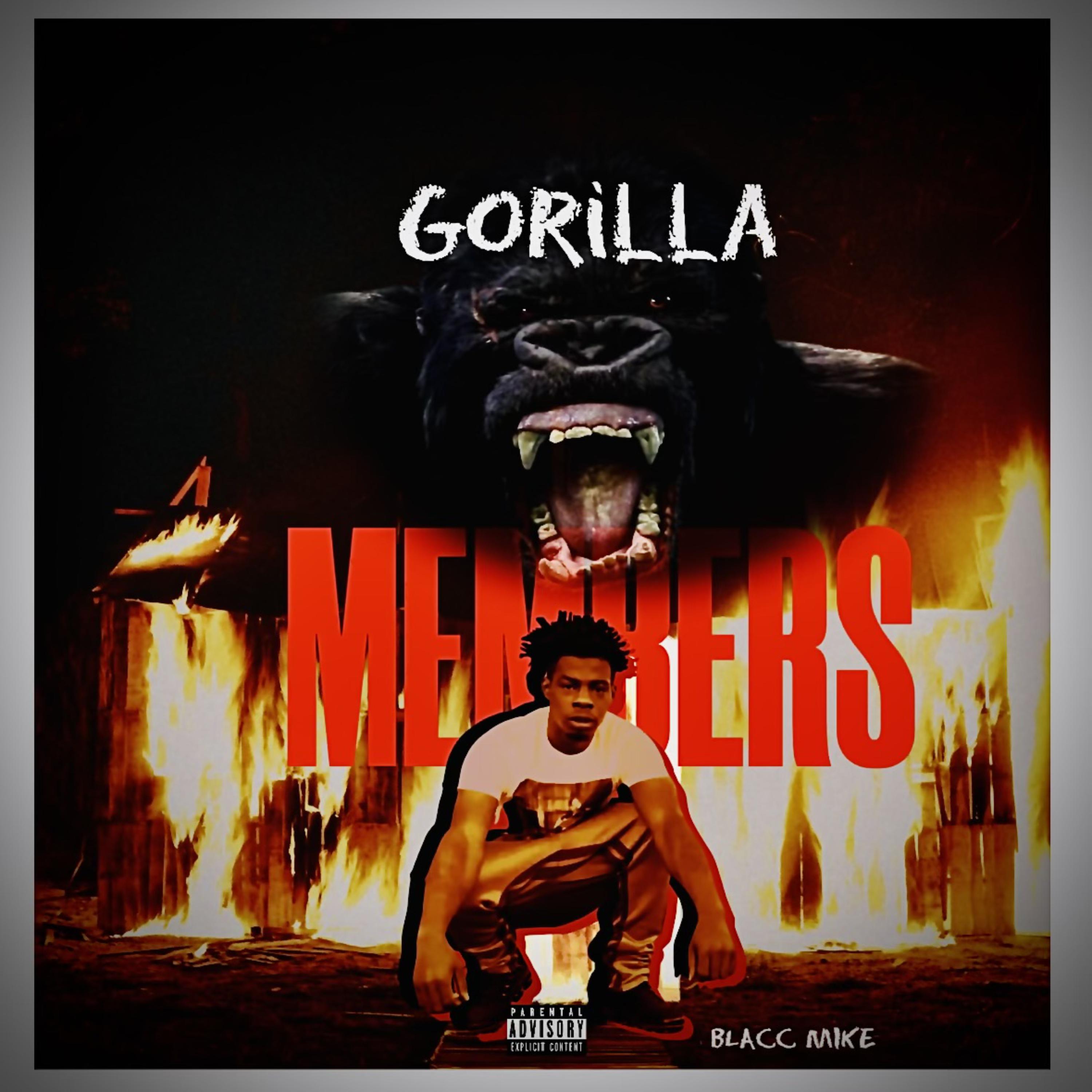 Gorilla Intro artwork