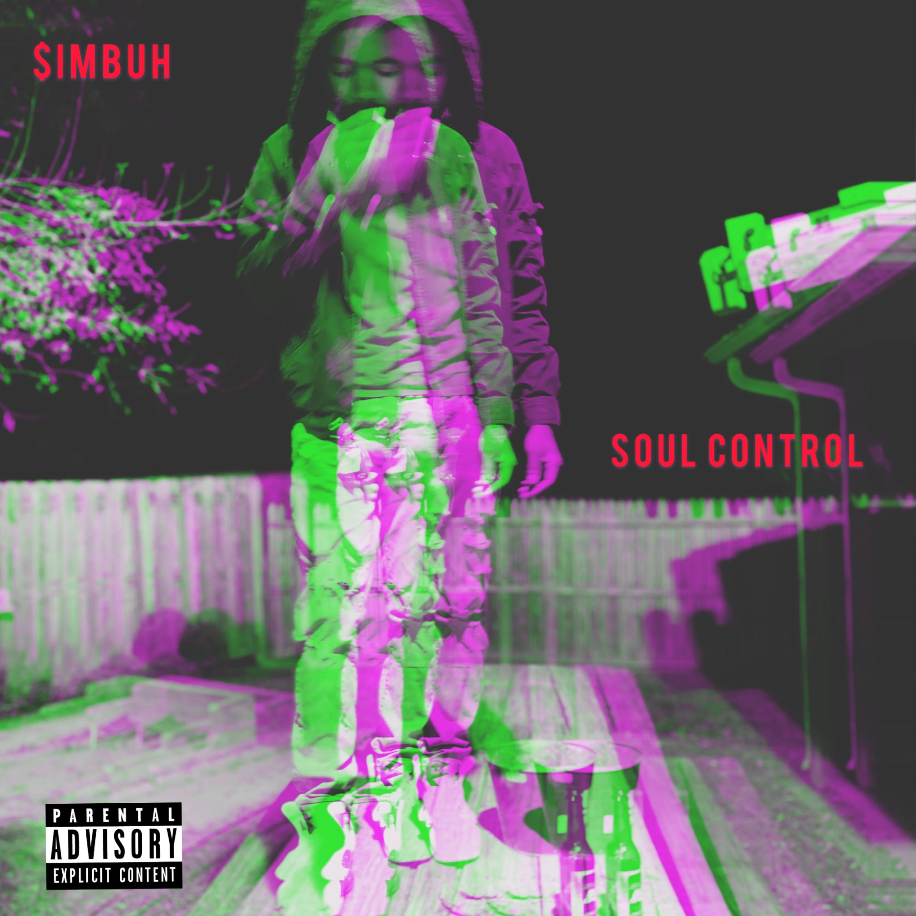 Soul Control artwork