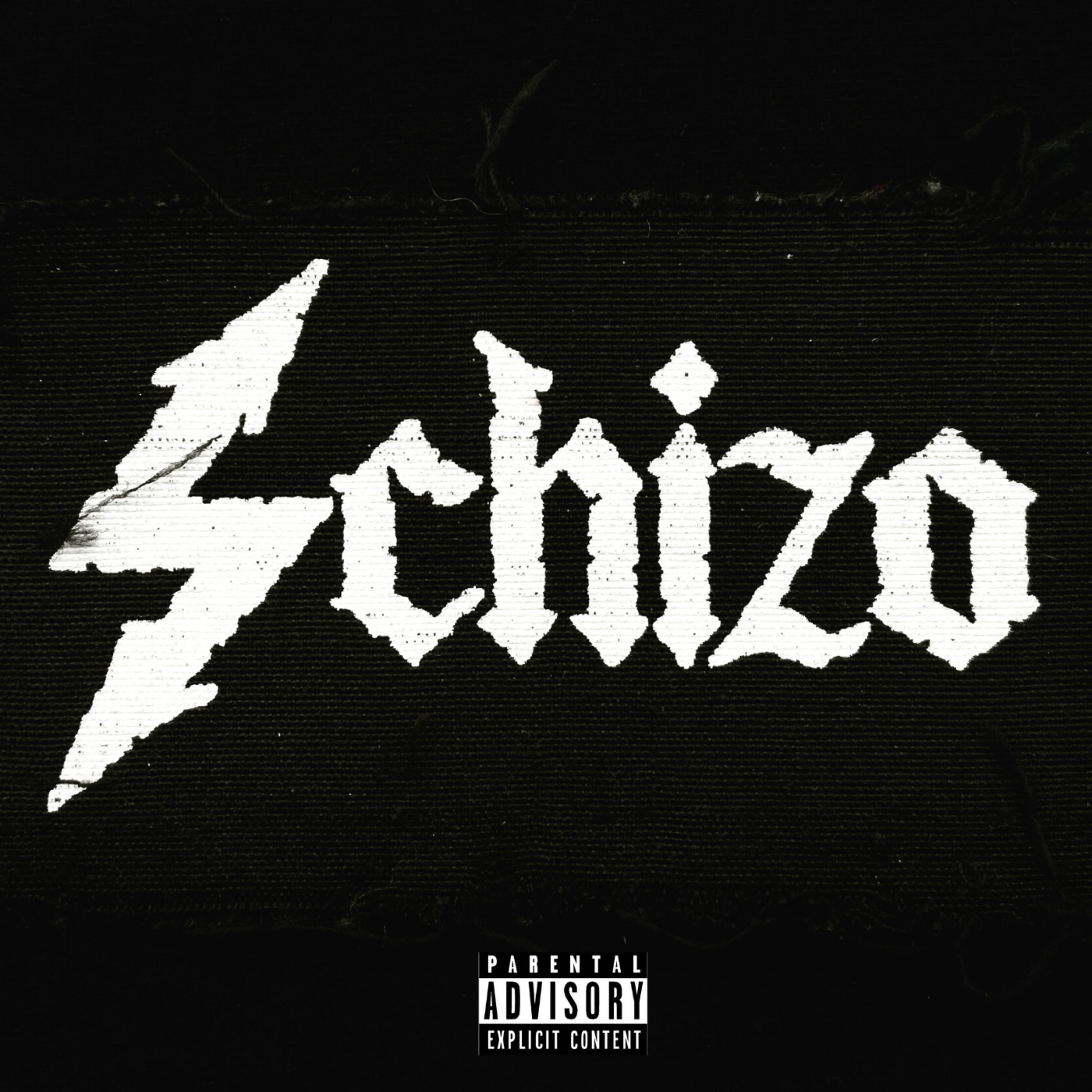 Schizo artwork