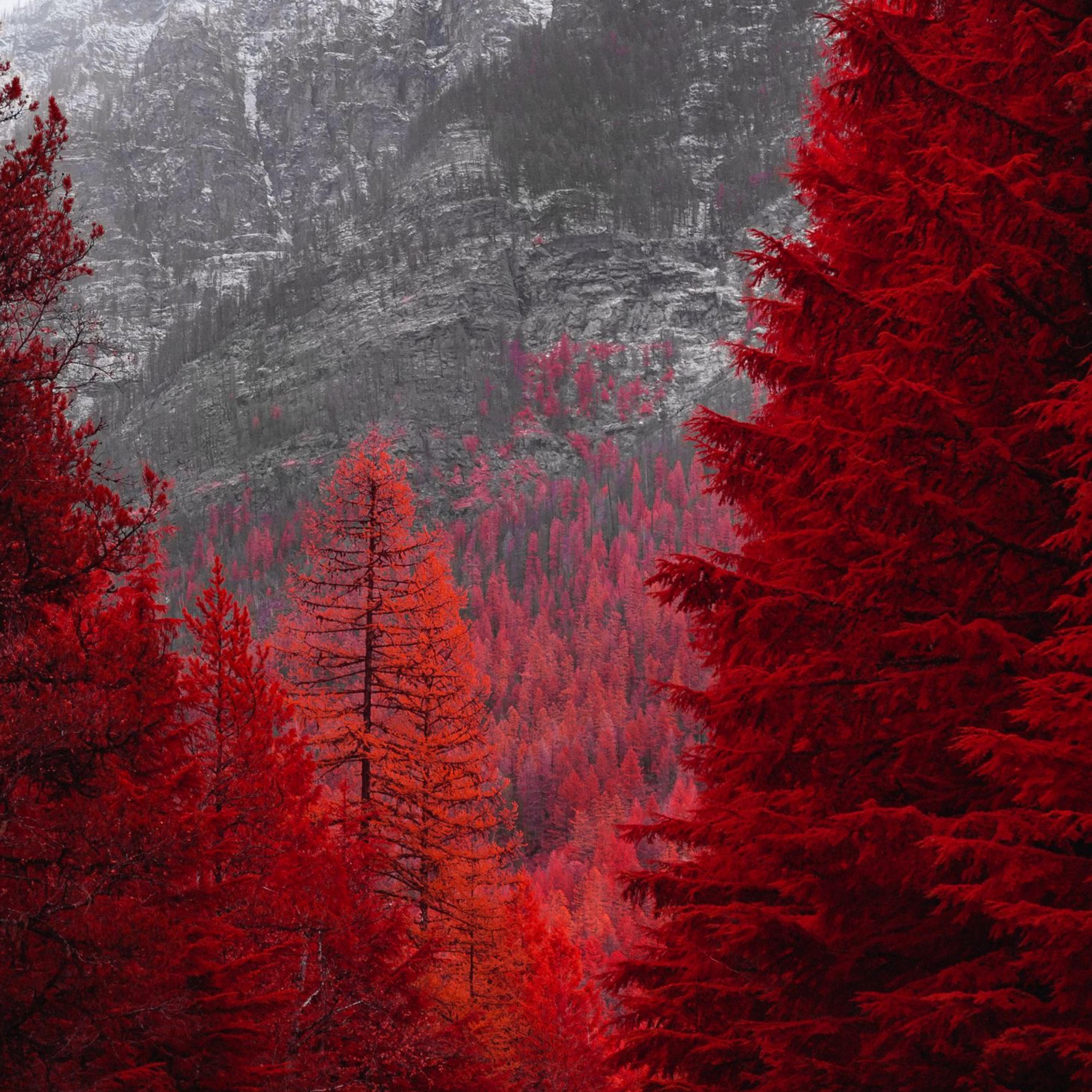 Red artwork