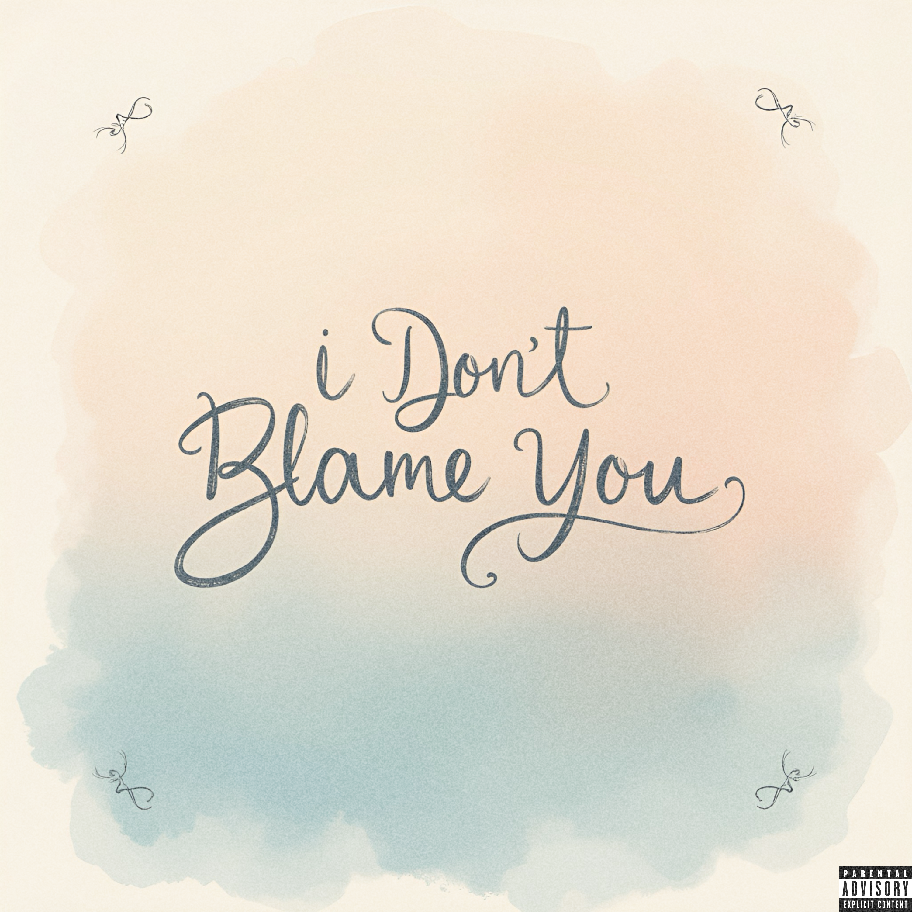 I Don’t Blame You artwork