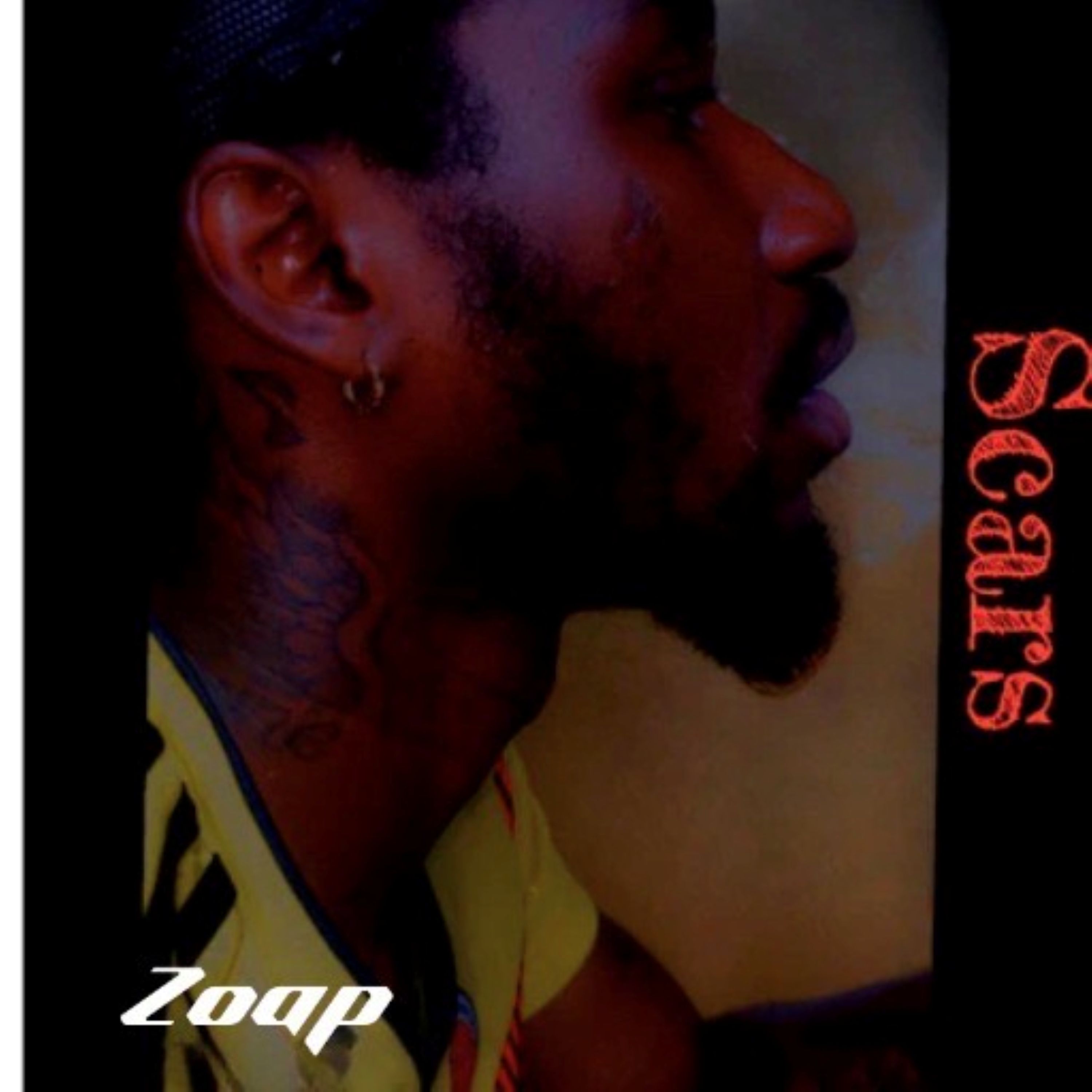 SCARS artwork
