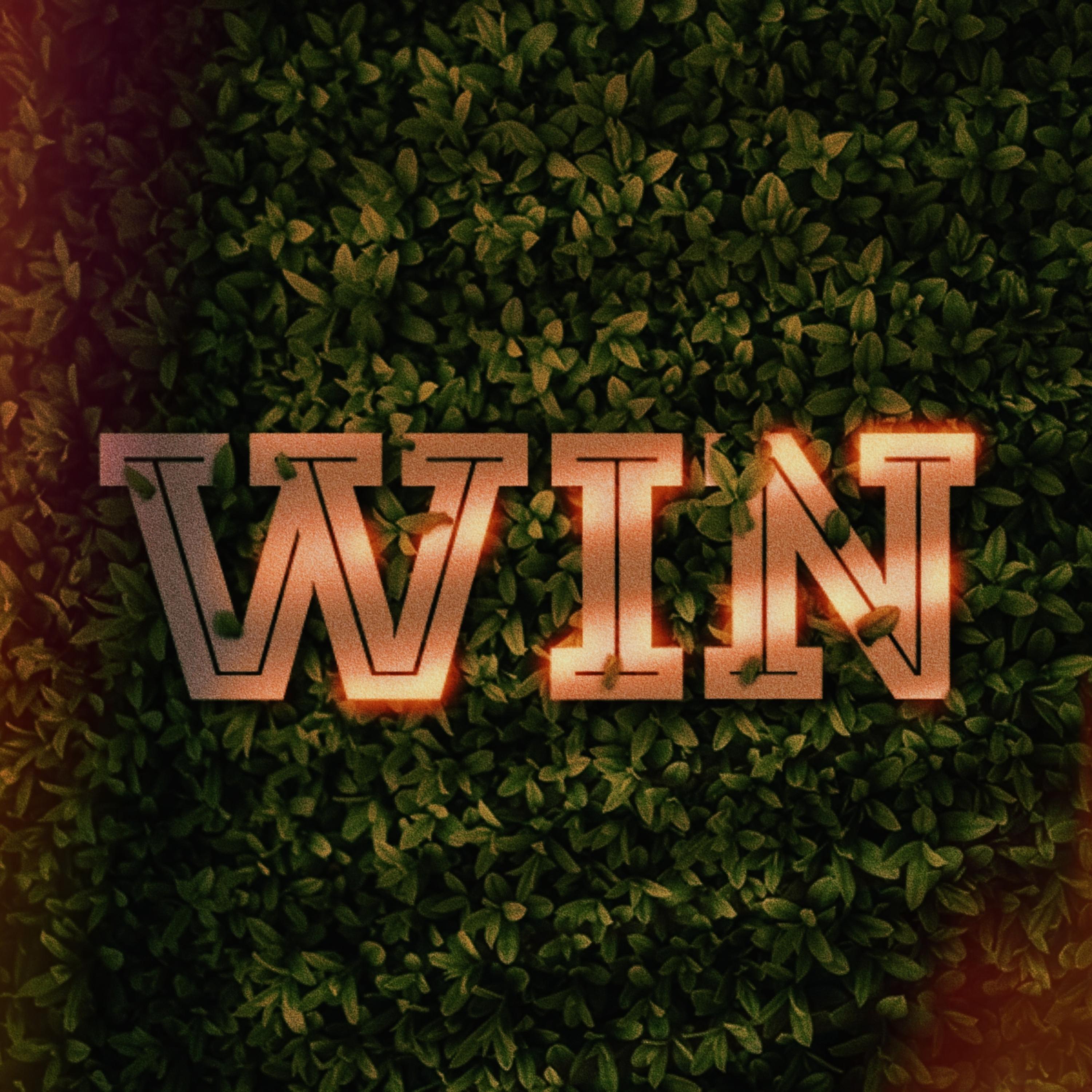 WIN artwork