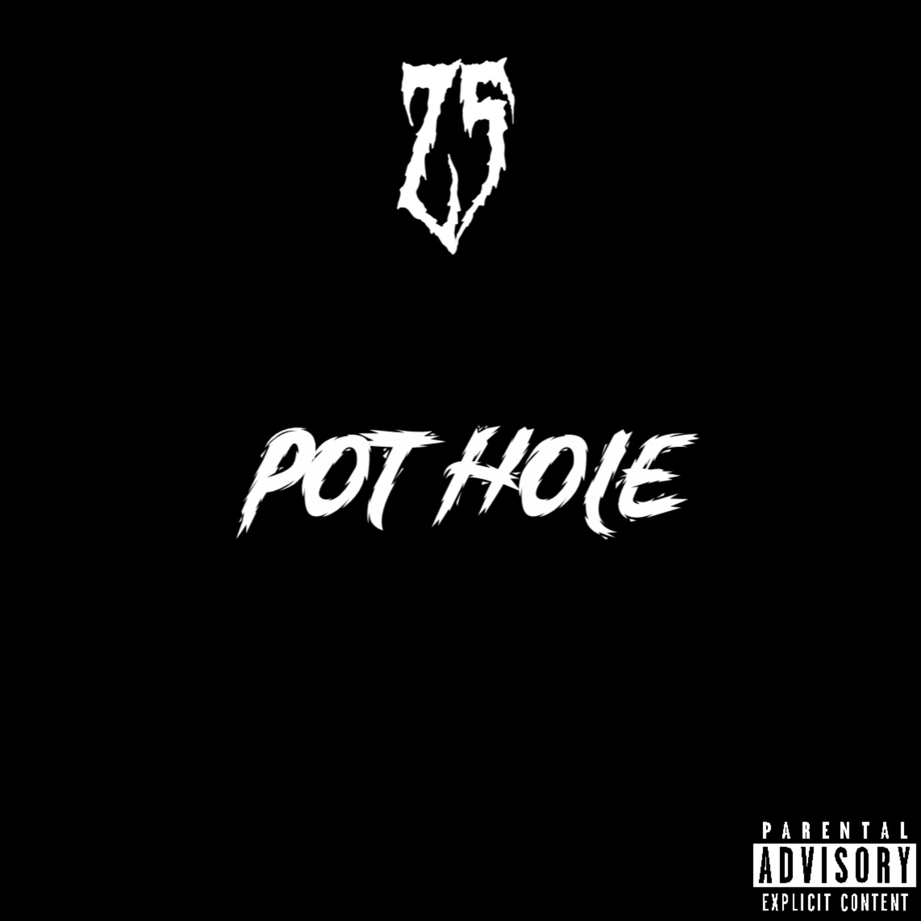 POT HOLE artwork