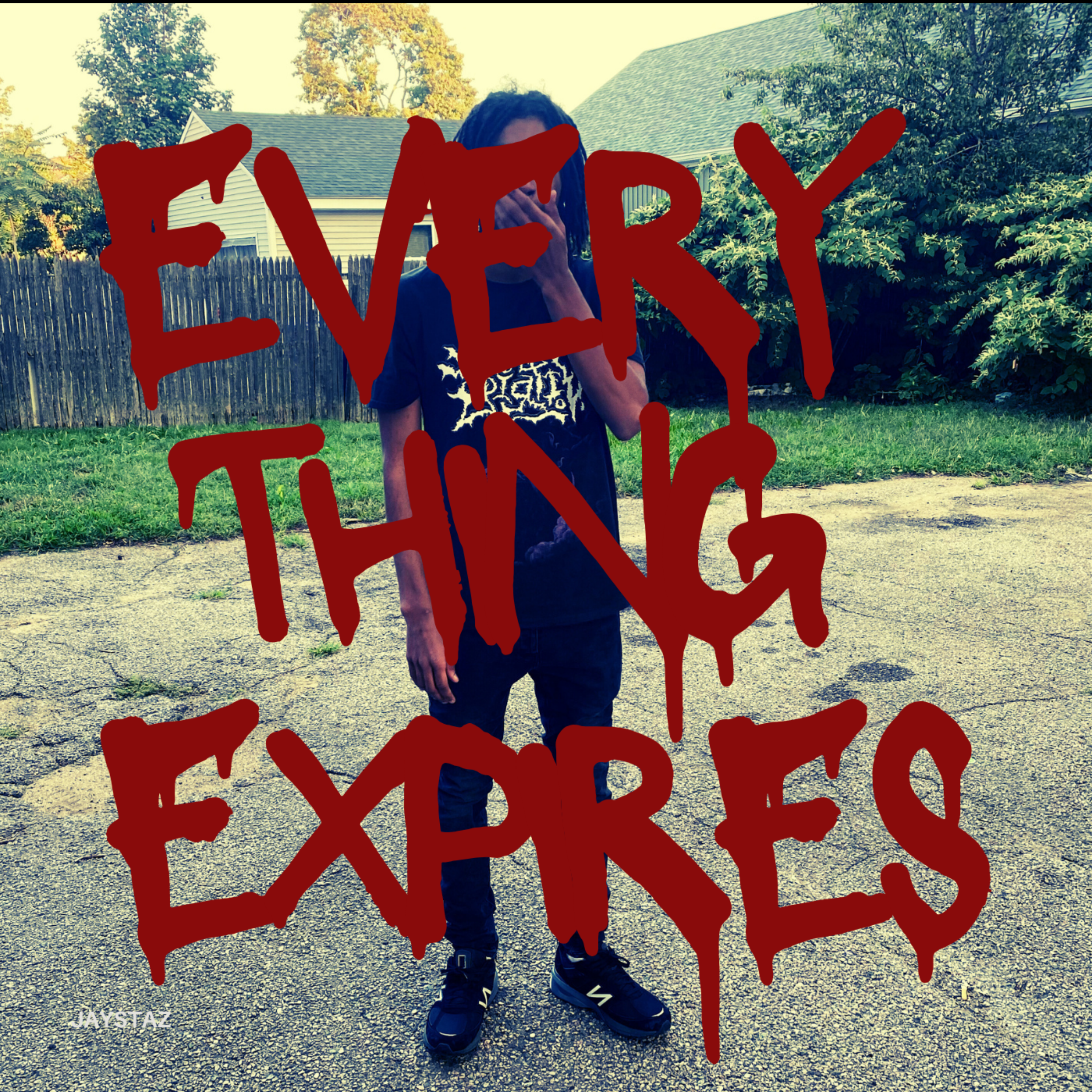 EVERY THING EXPIRES artwork