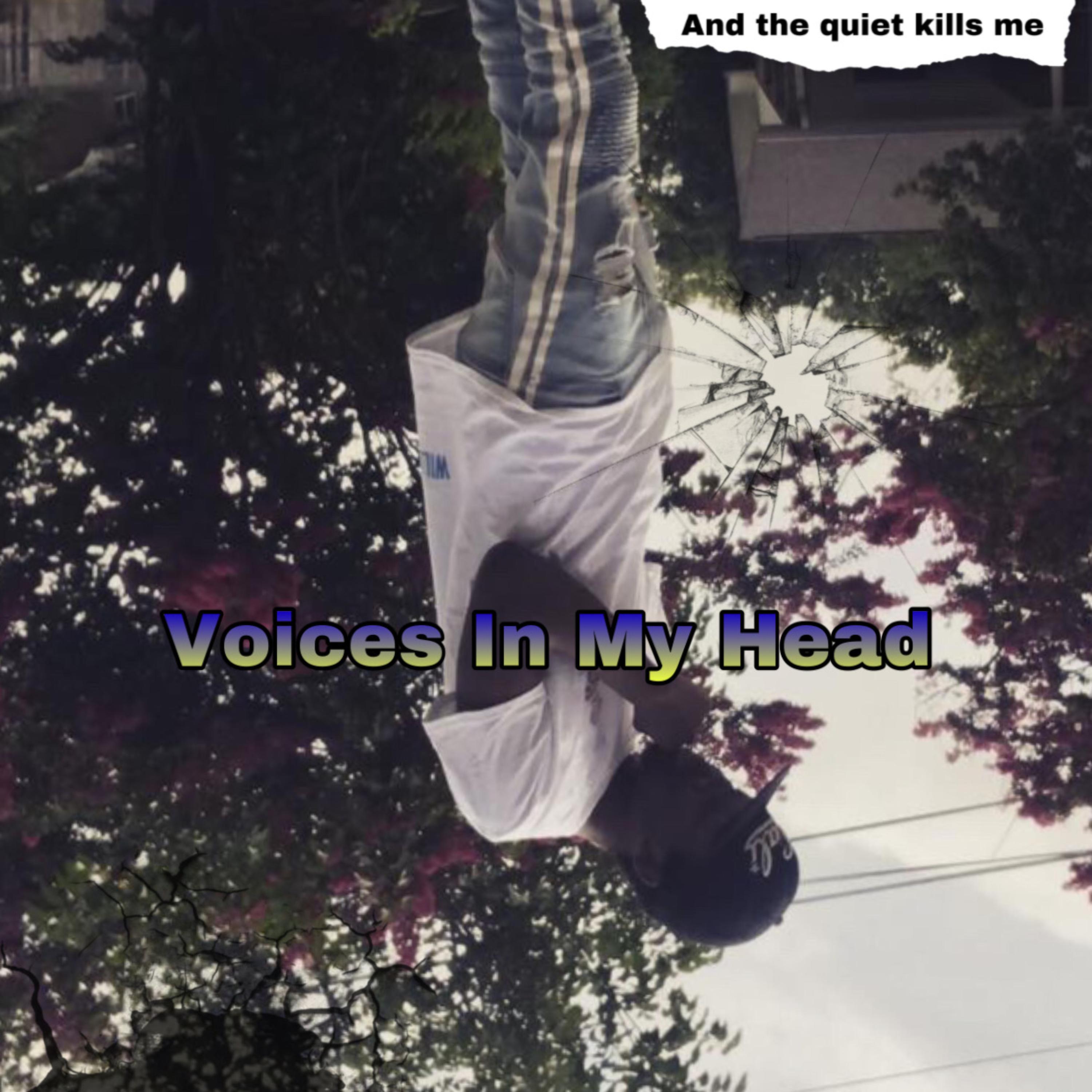 Voices In My Head artwork