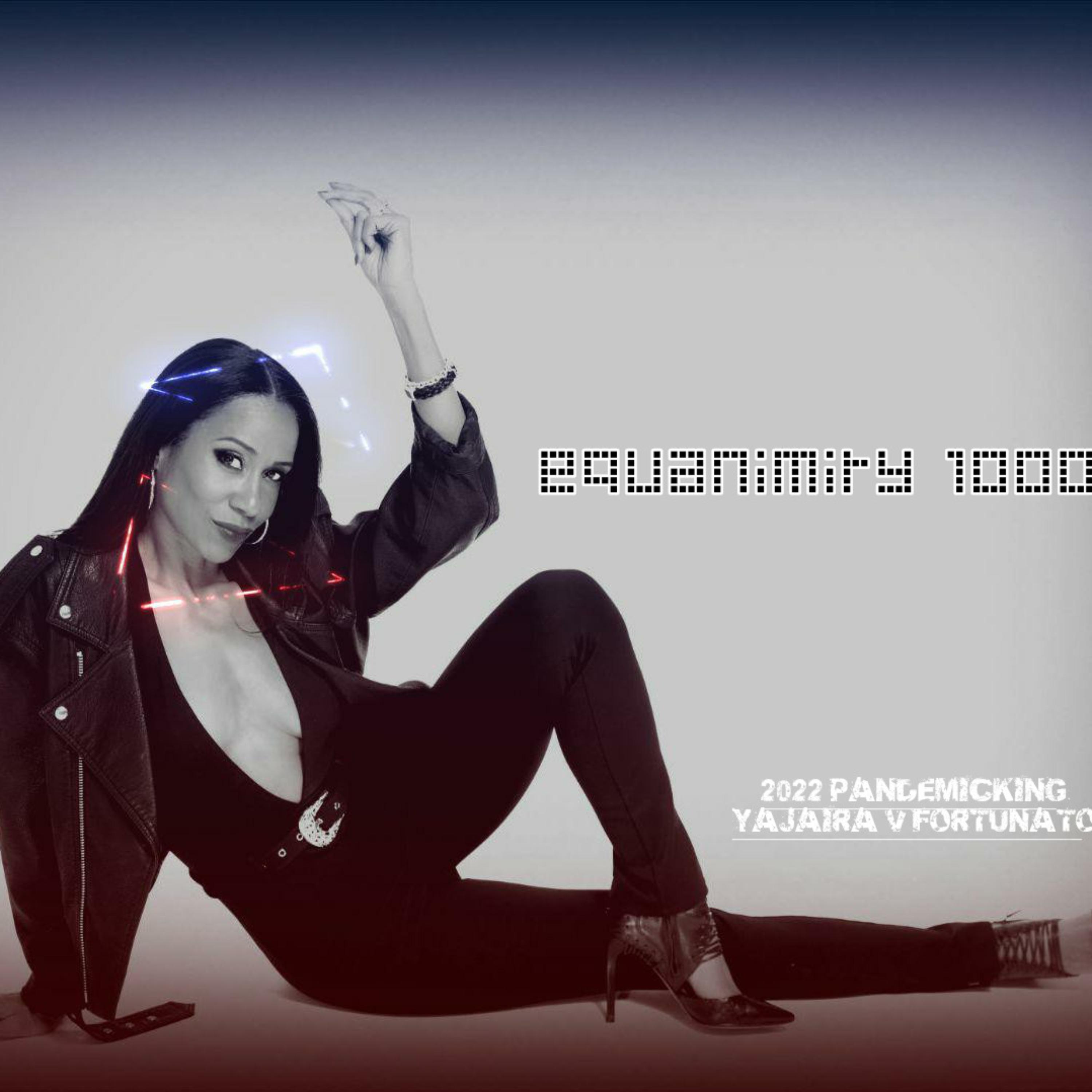 EQUANIMITY 1000              2022PANDEMICKING artwork