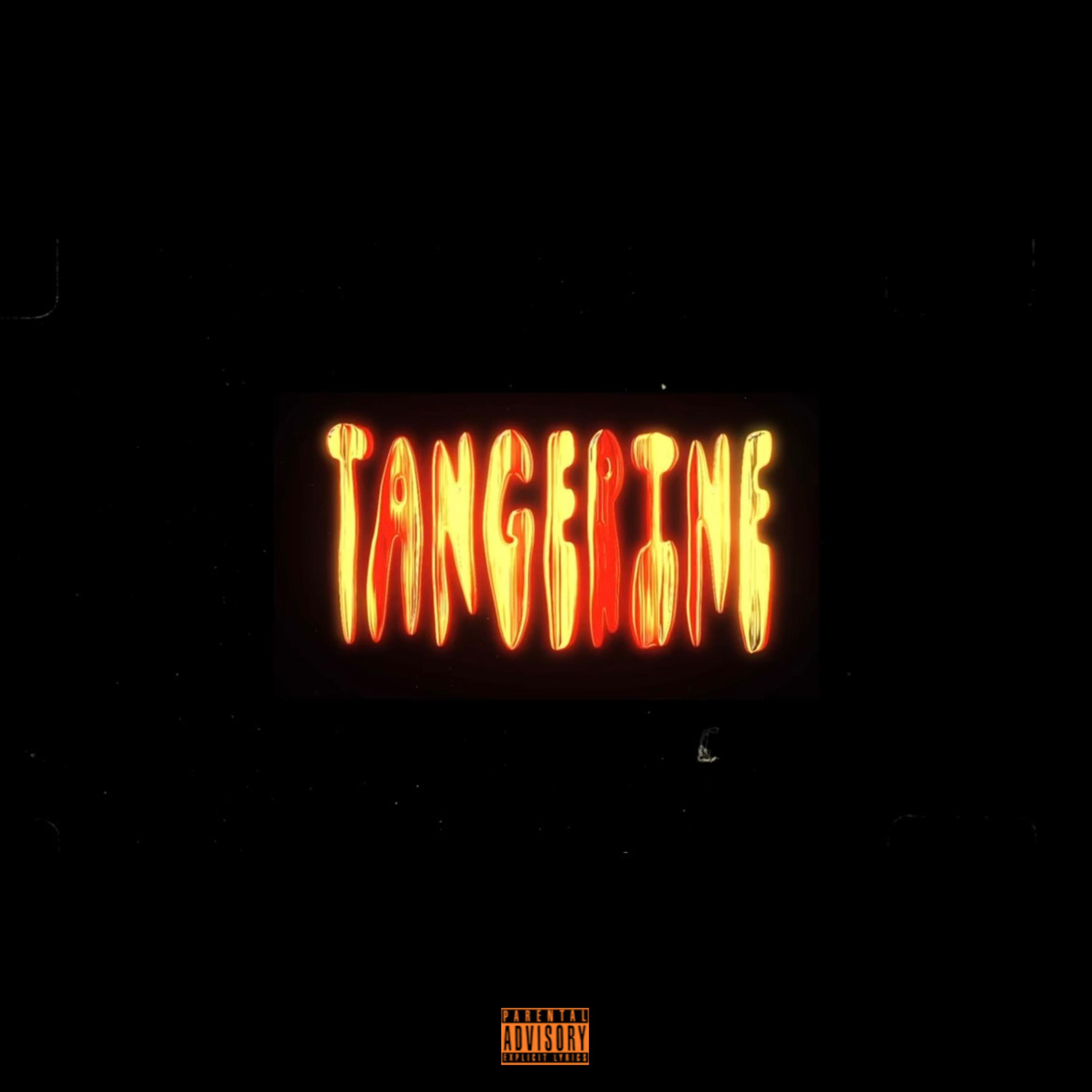 TANGERINE by WJM MENA cover art