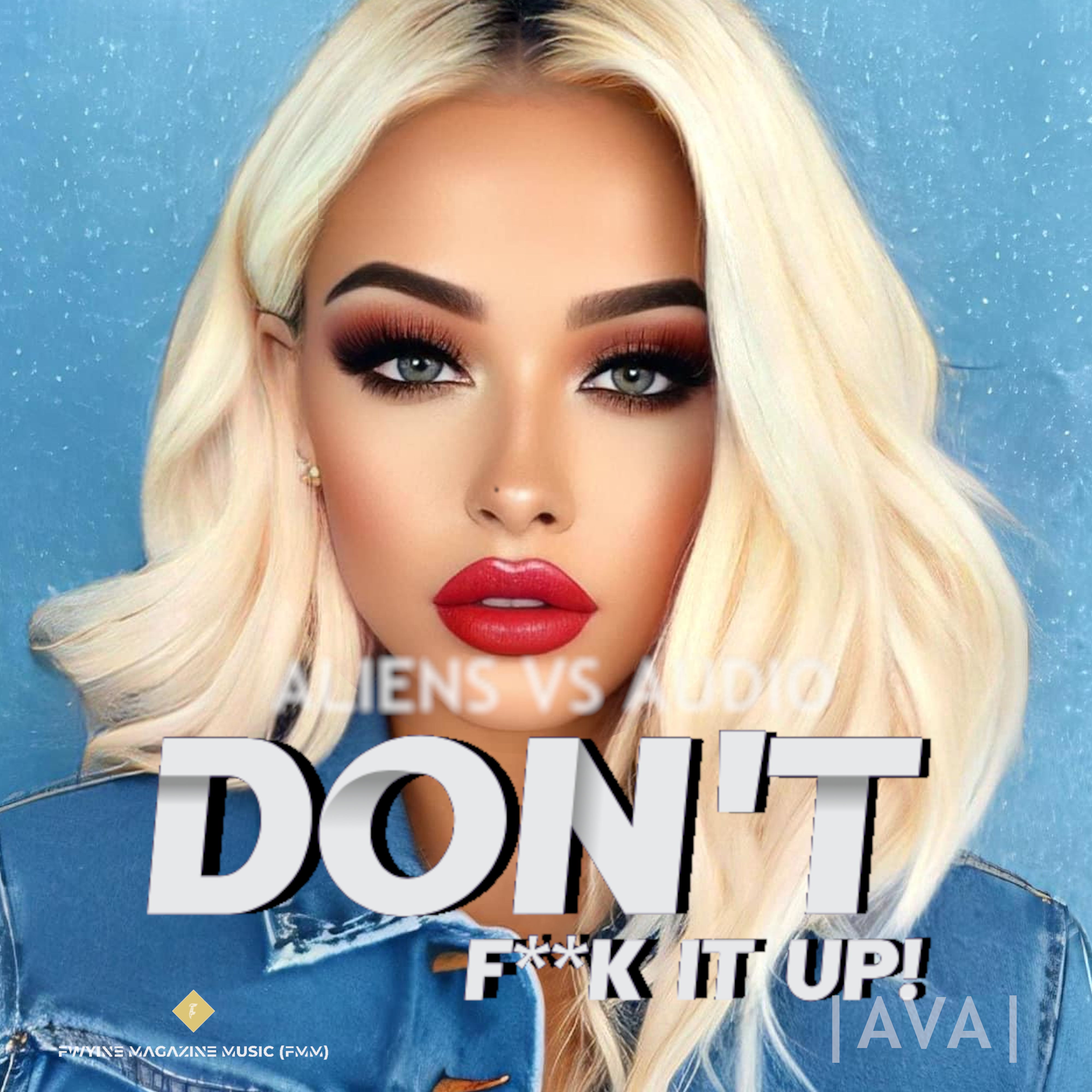 DON'T FUCK iT UP! artwork