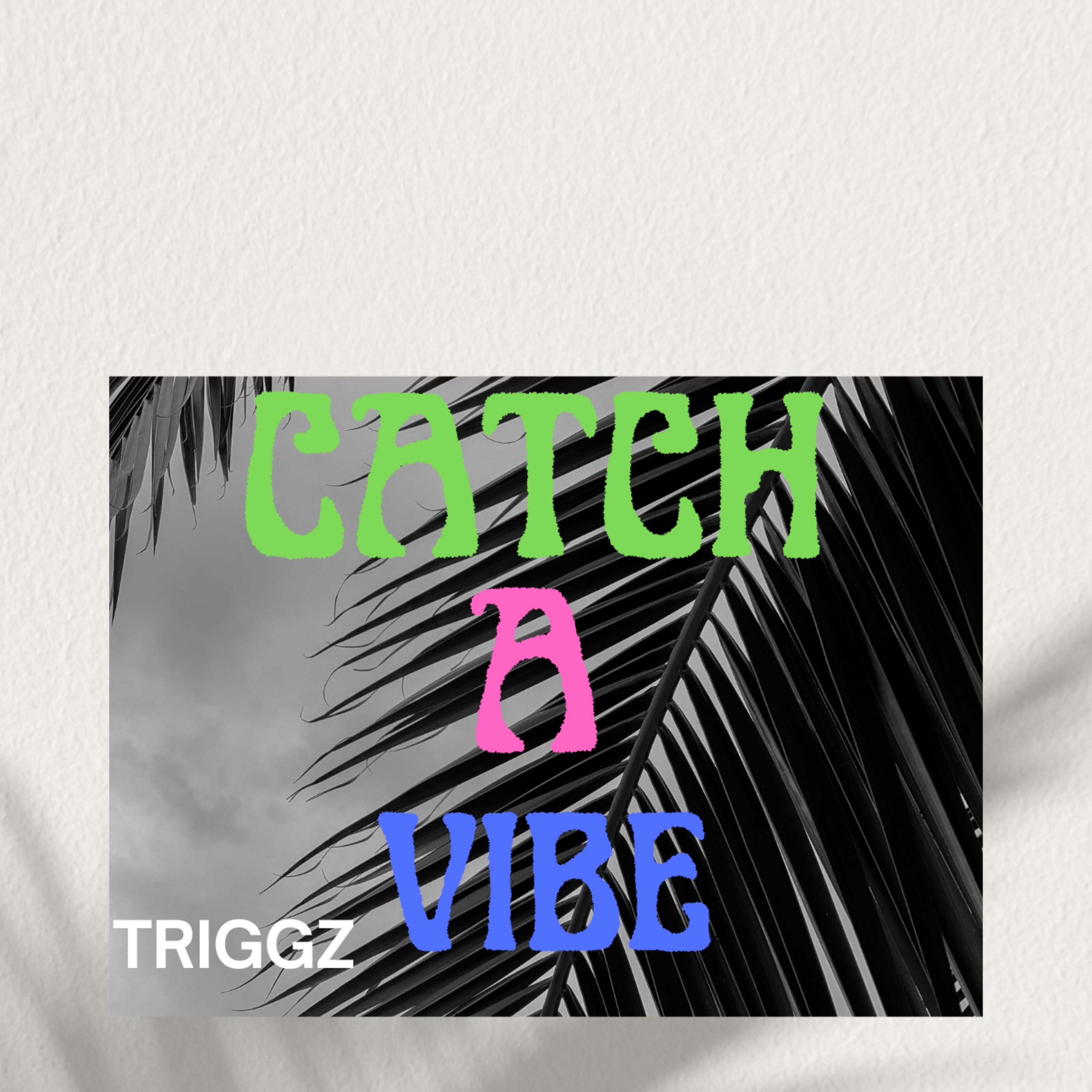 Catch A Vibe by Triggz cover art