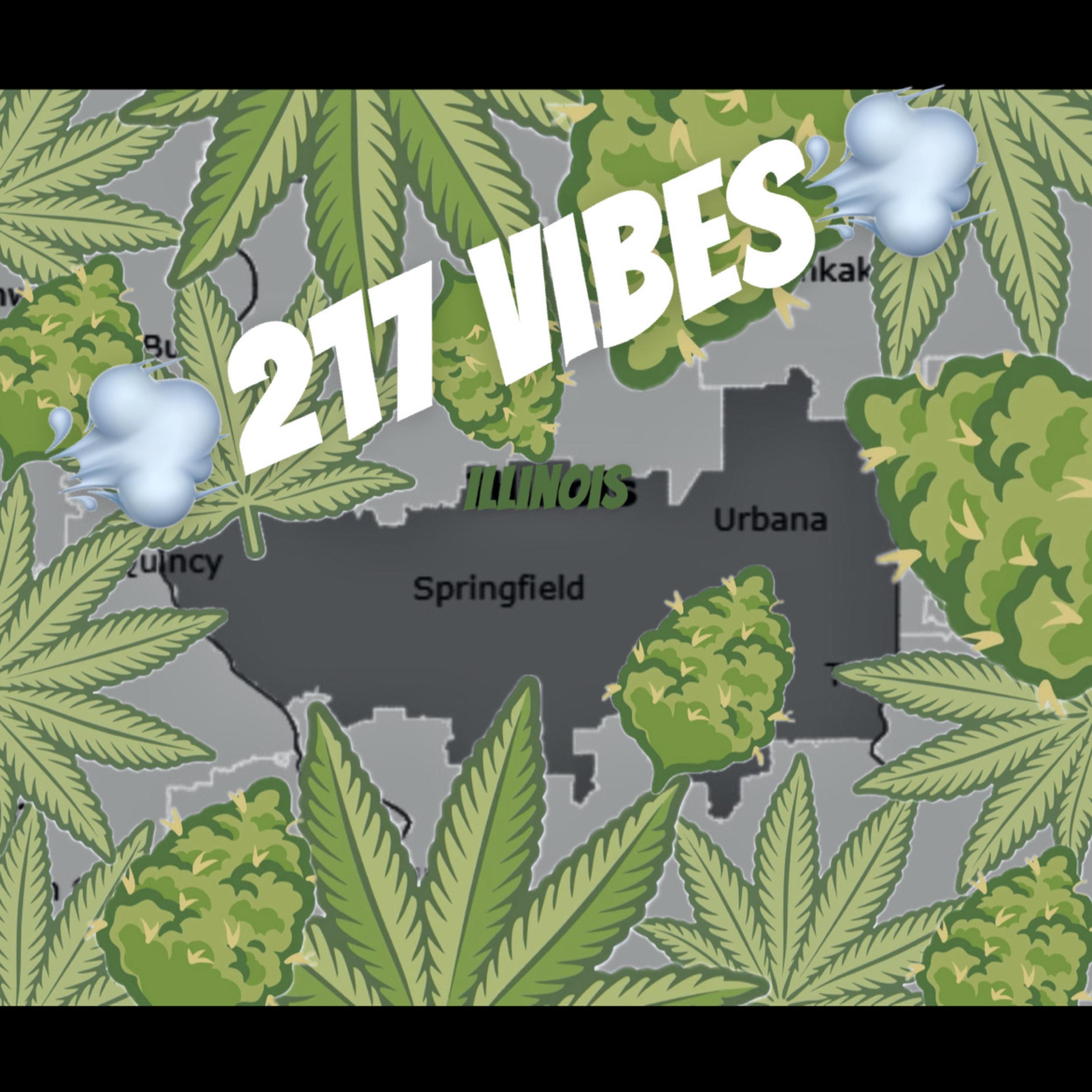 217 VIBES artwork