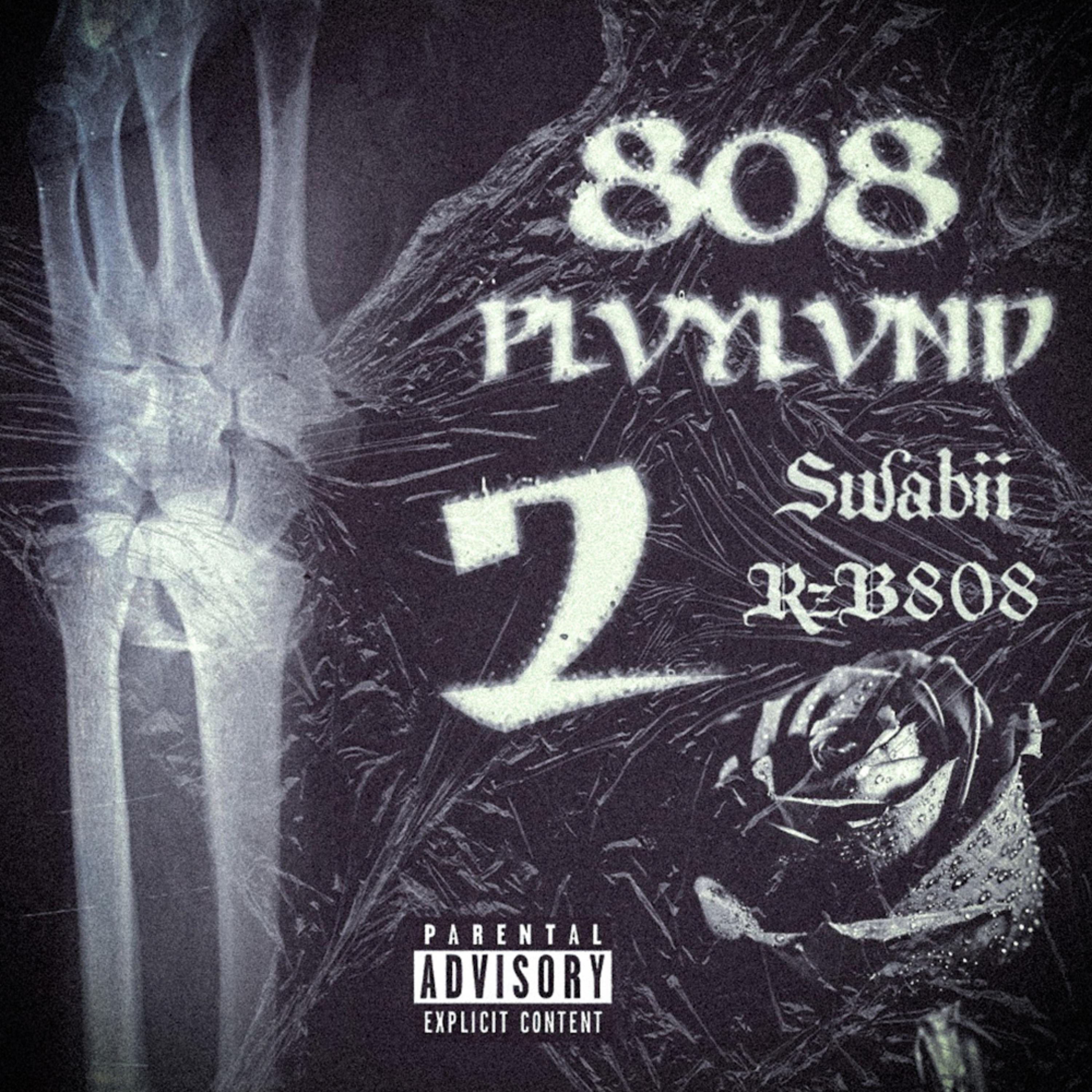 808 PLVYLVND 2 artwork