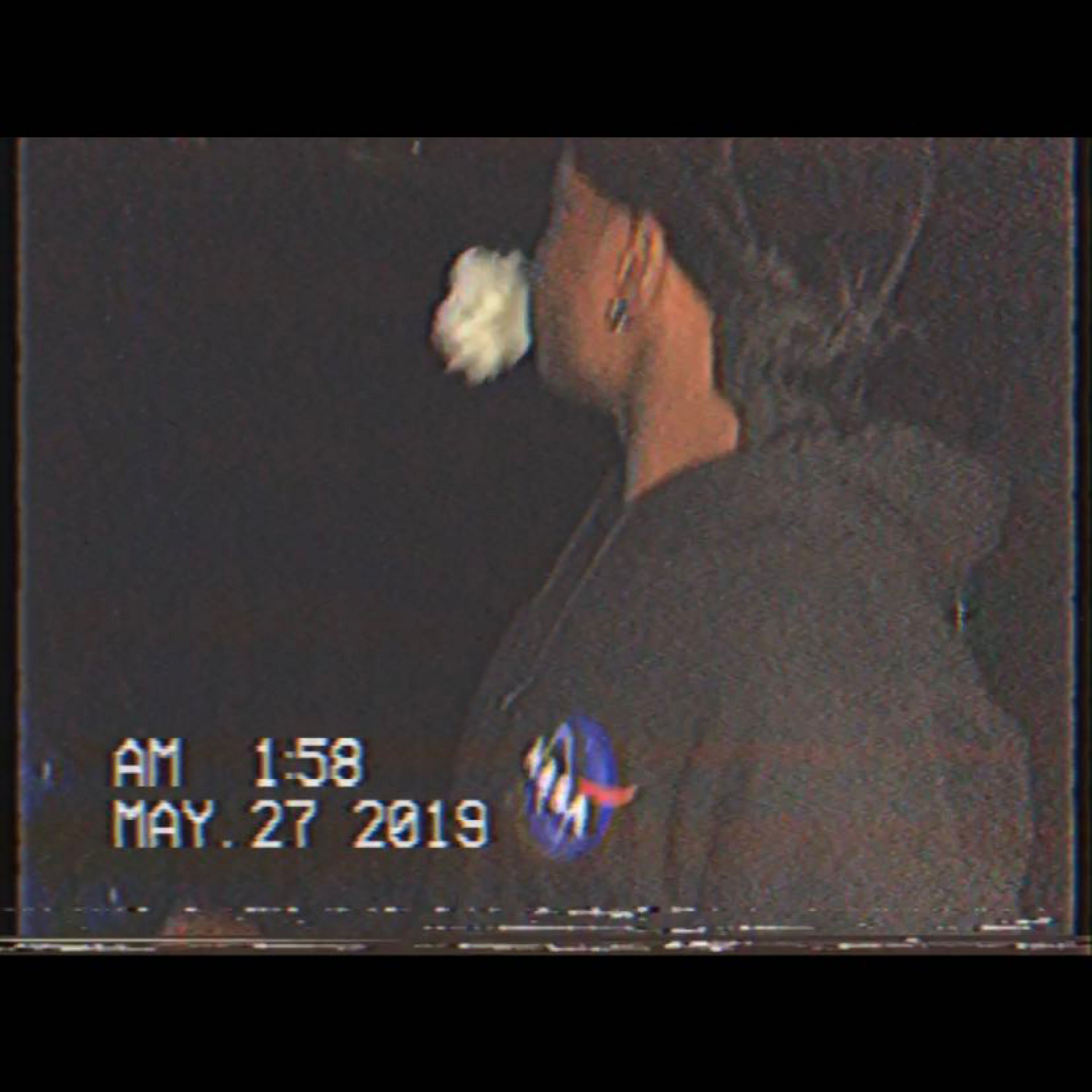 Told Ya (2019) by MBFTRose cover art