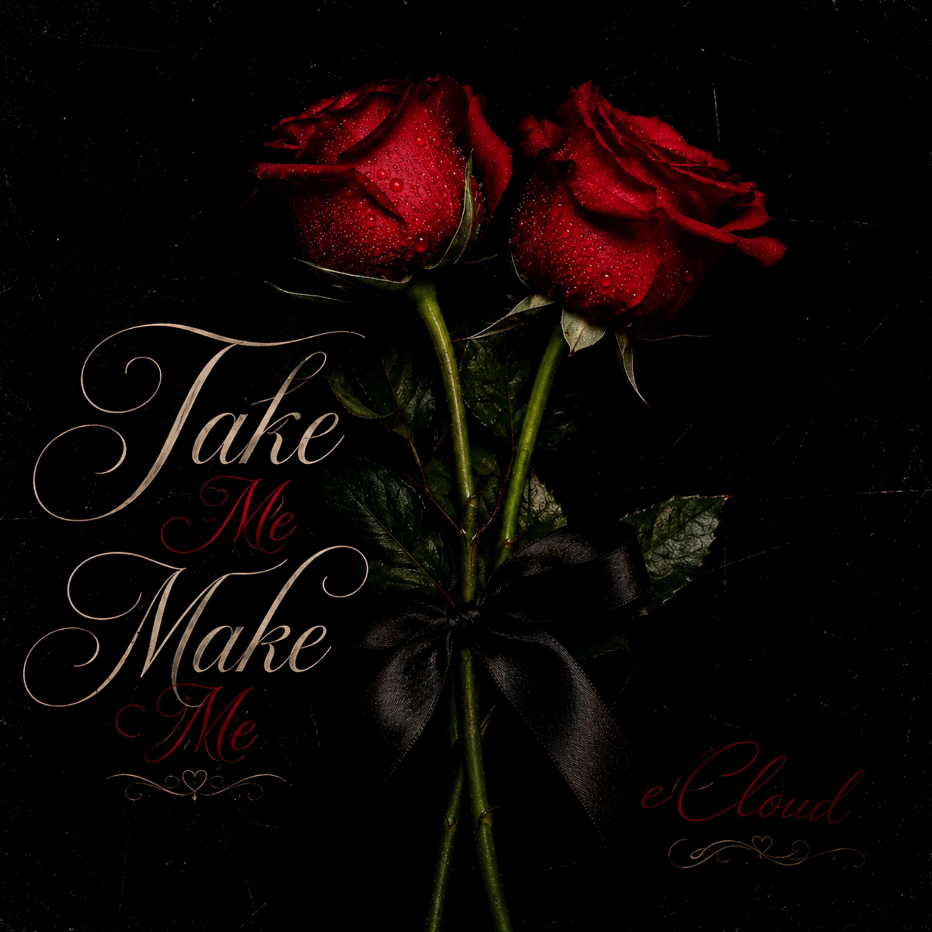 Take Me, Make Me by eCloud cover art