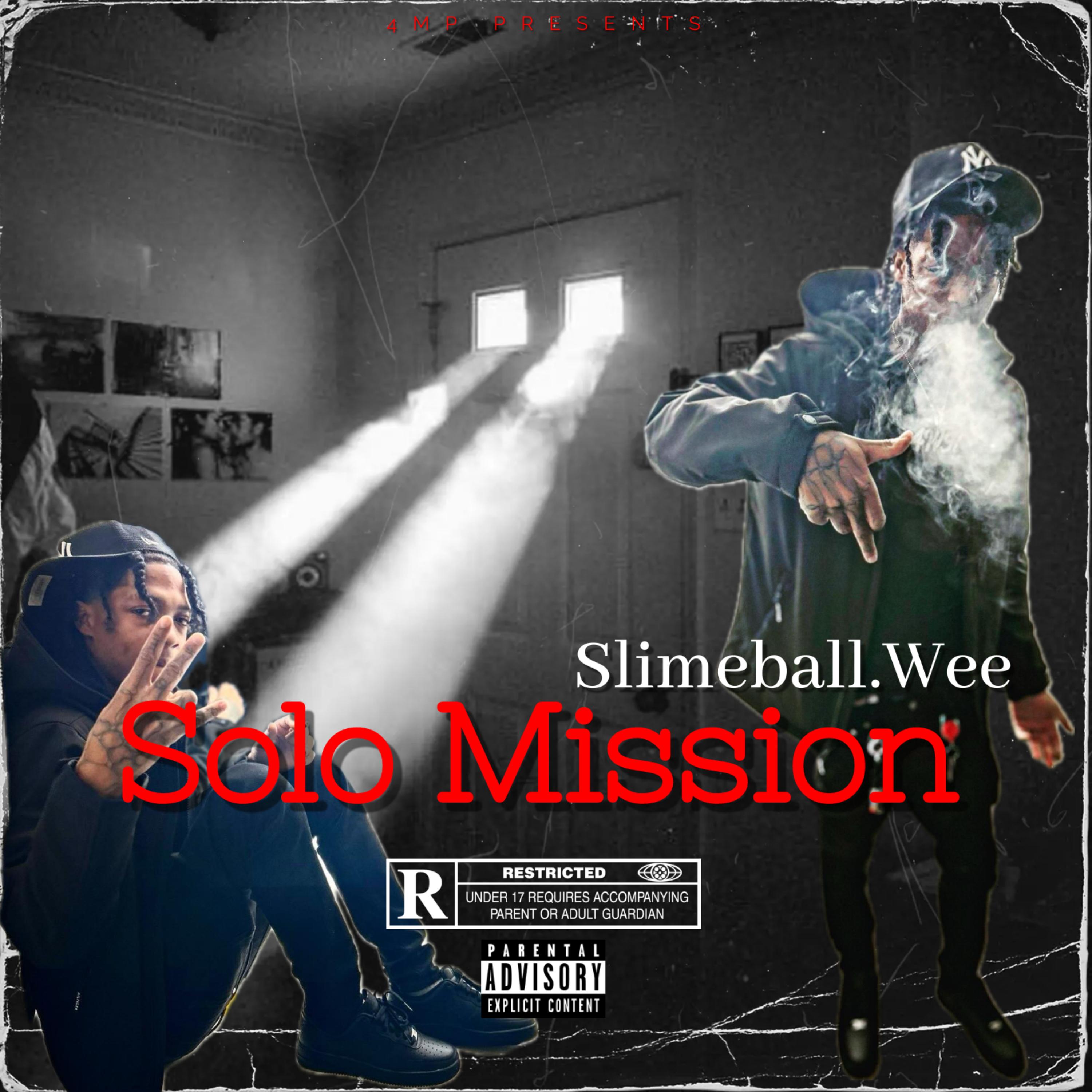Solo Mission by Itz Hoggy cover art