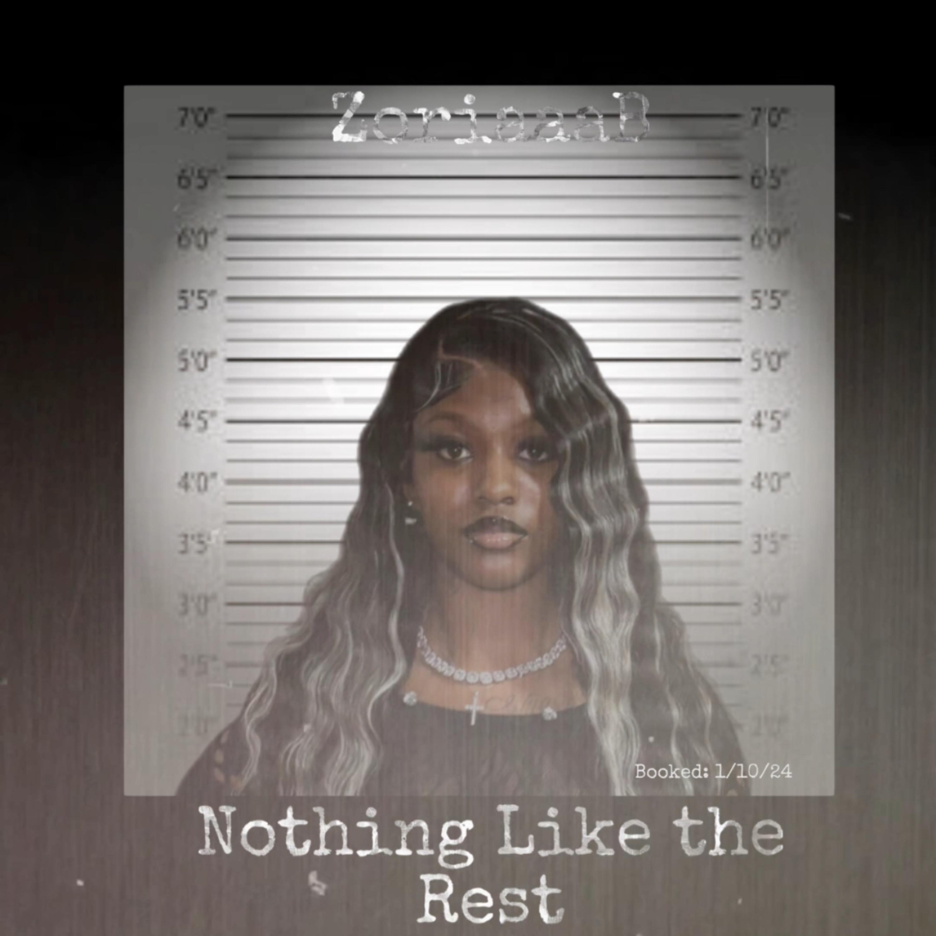 Nothing Like the Rest artwork