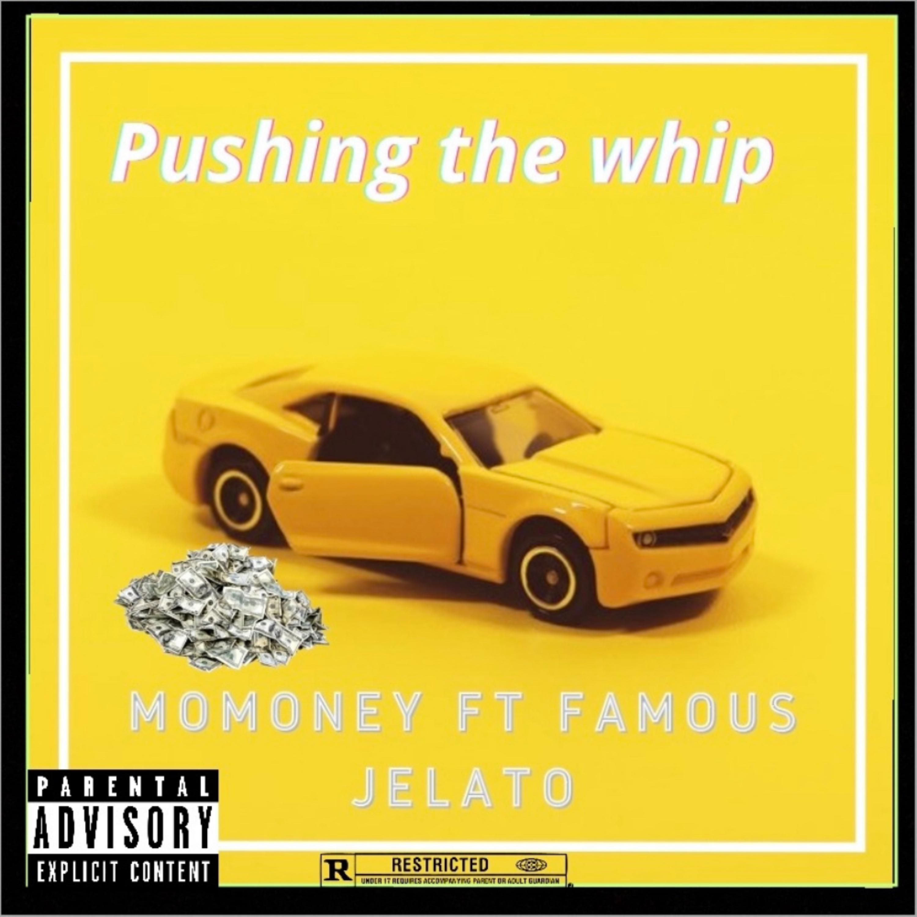 Pushing The Whip artwork
