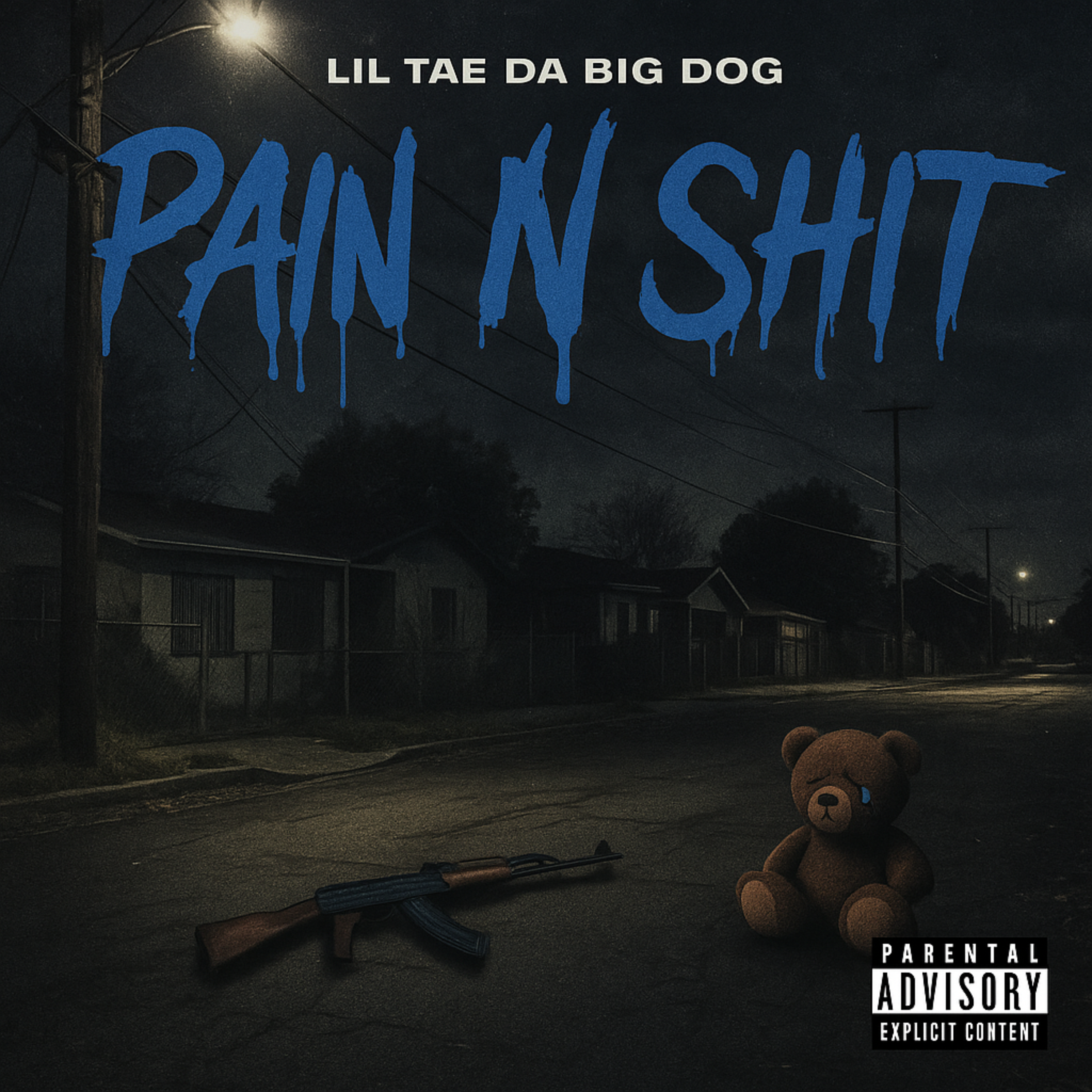 Pain N Shit artwork