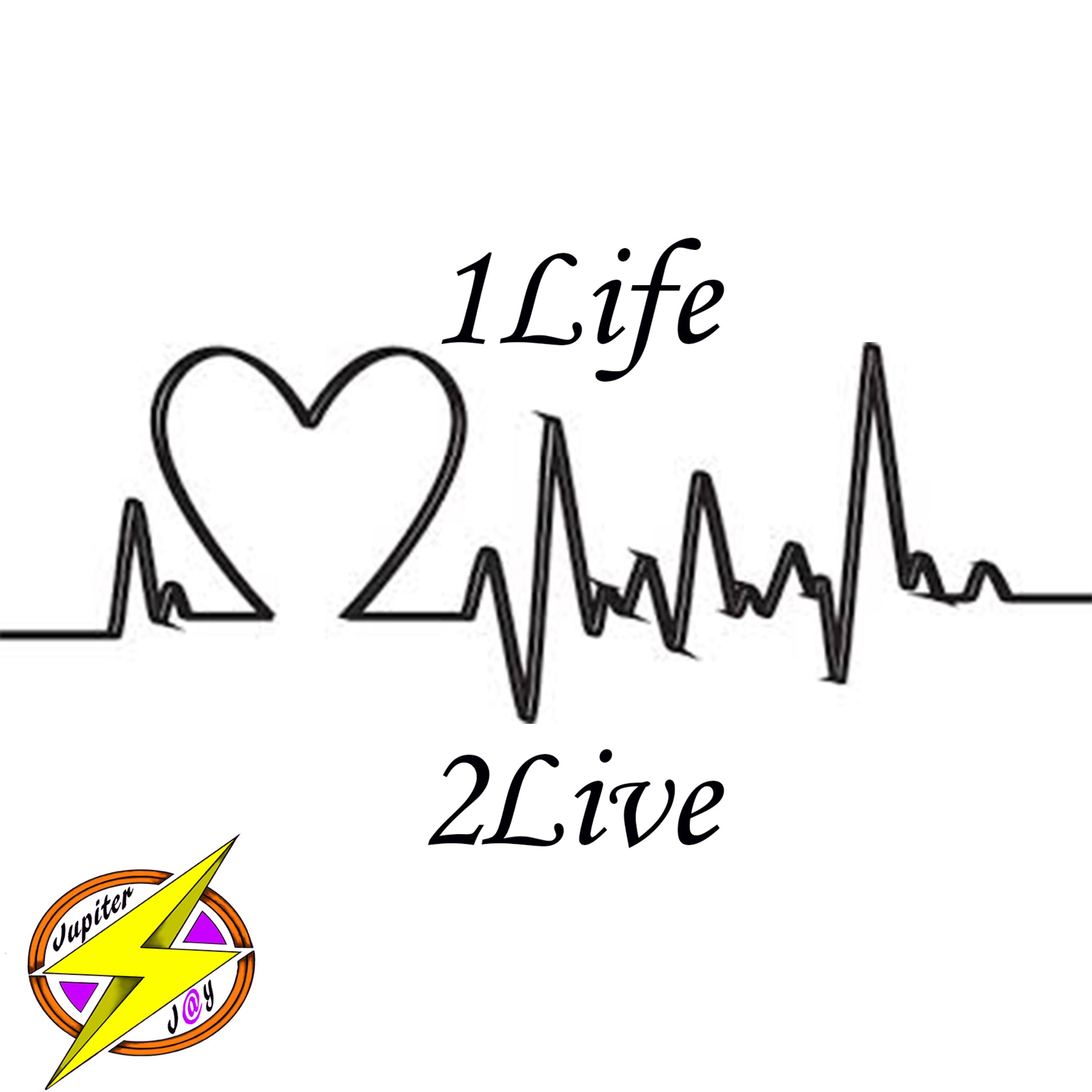 1life2live artwork