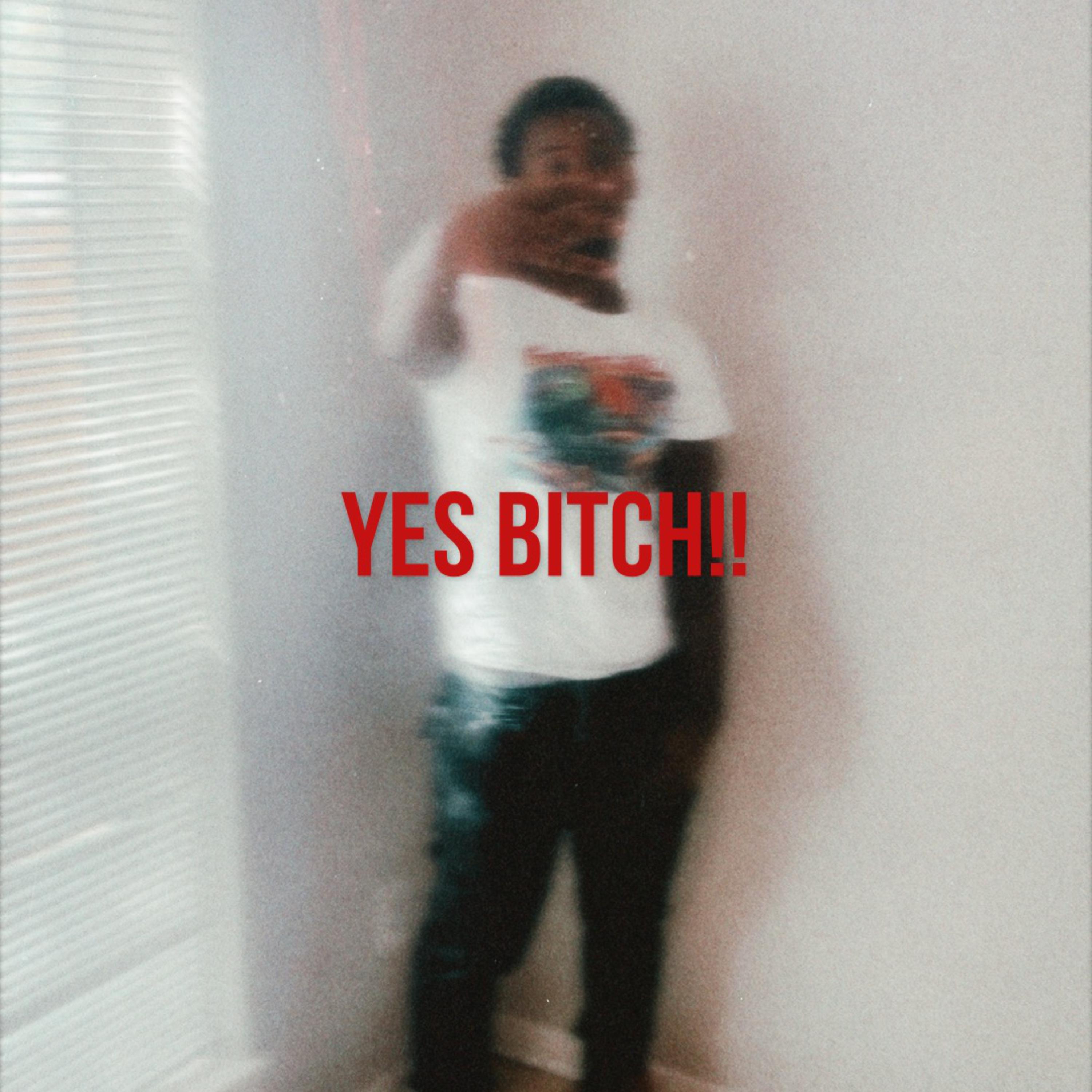 Yes Bitch! artwork