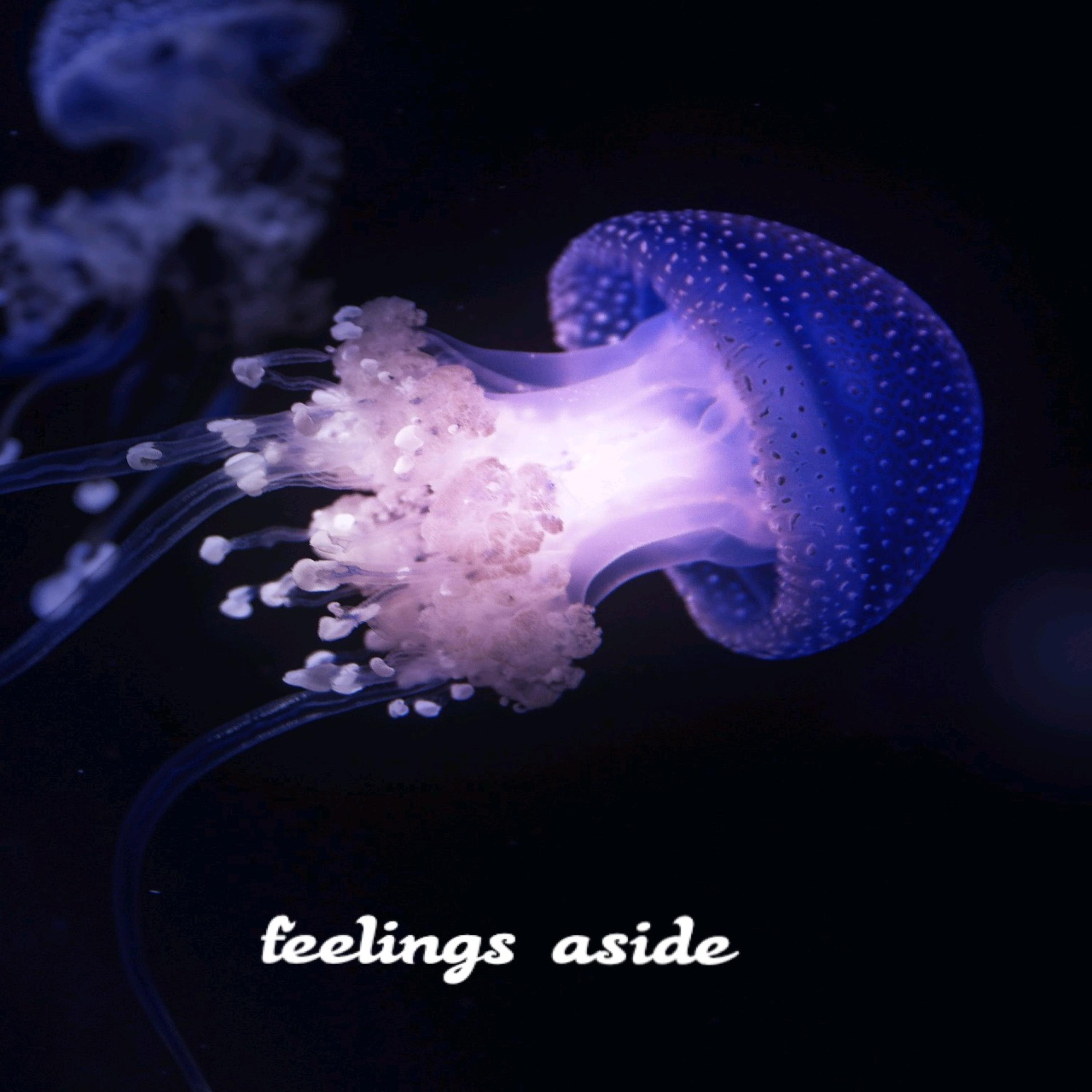 FEELINGS ASIDE artwork