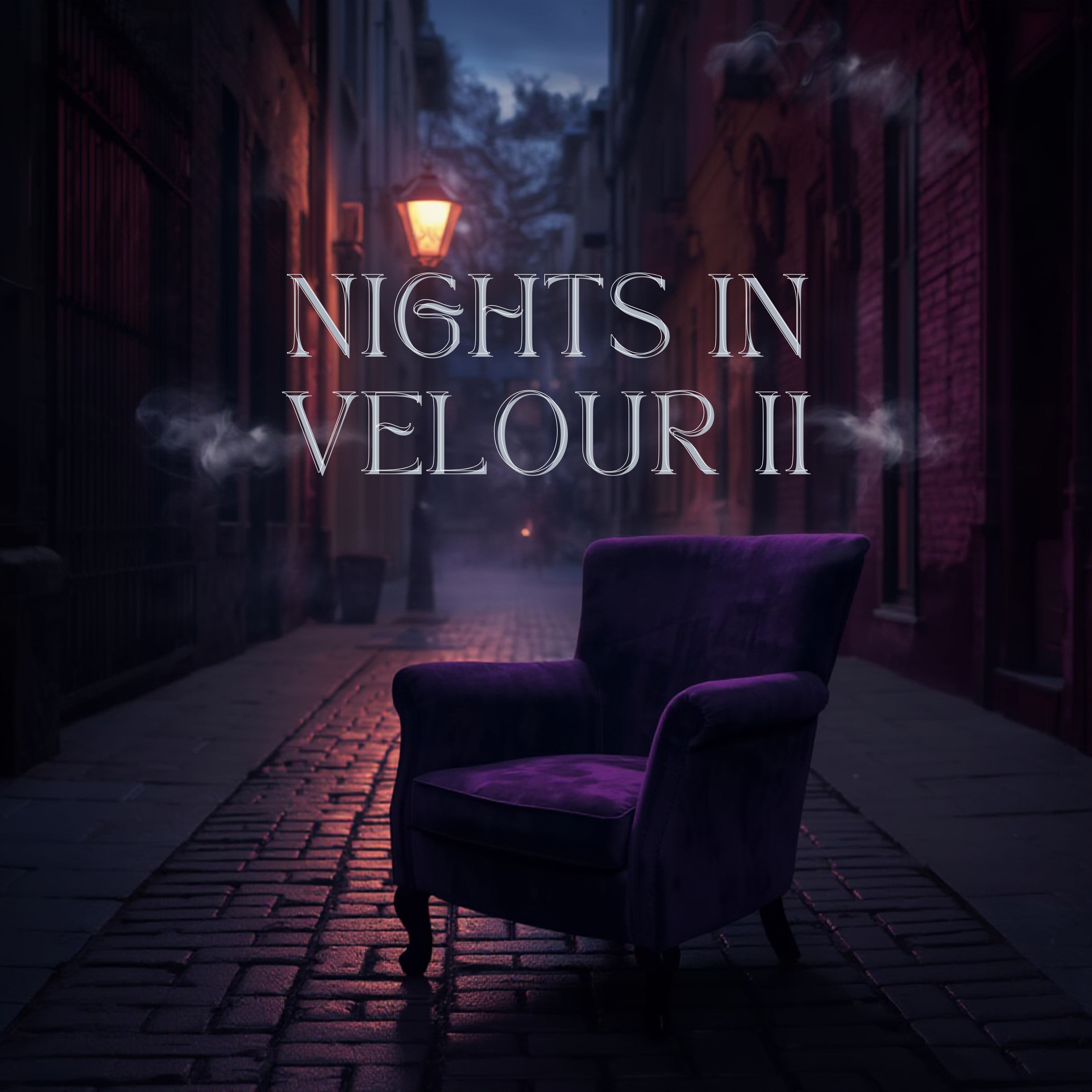 NIGHTS IN VELOUR II artwork