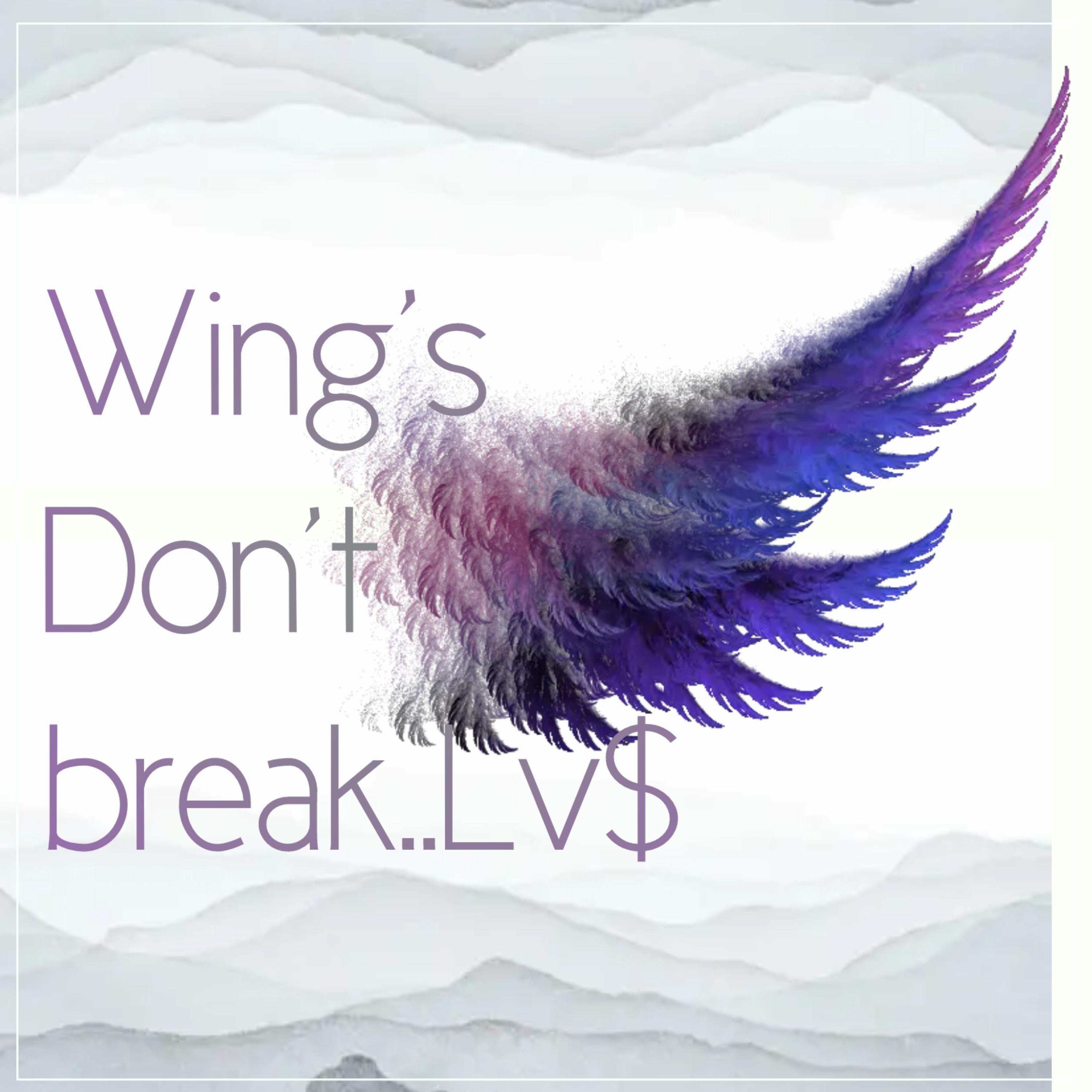 Wings Don't Break artwork