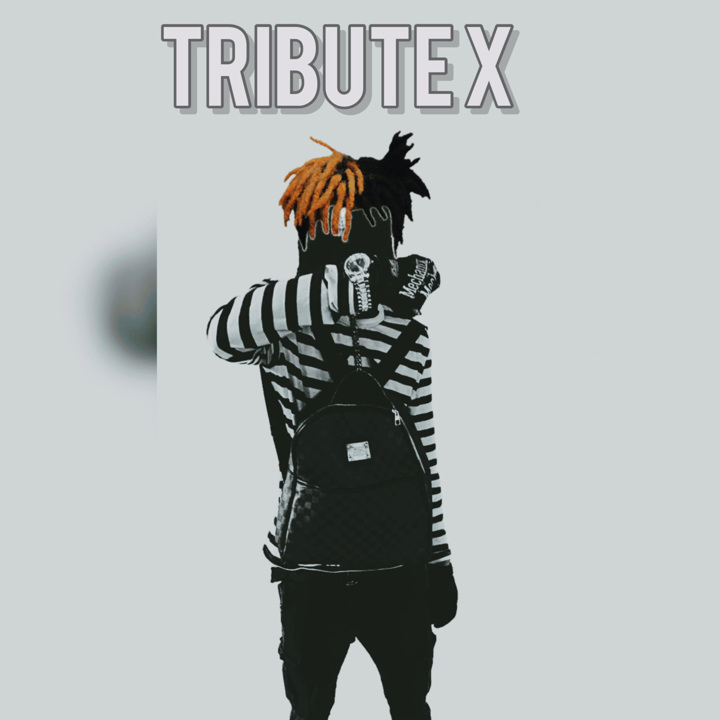 Tribute X artwork