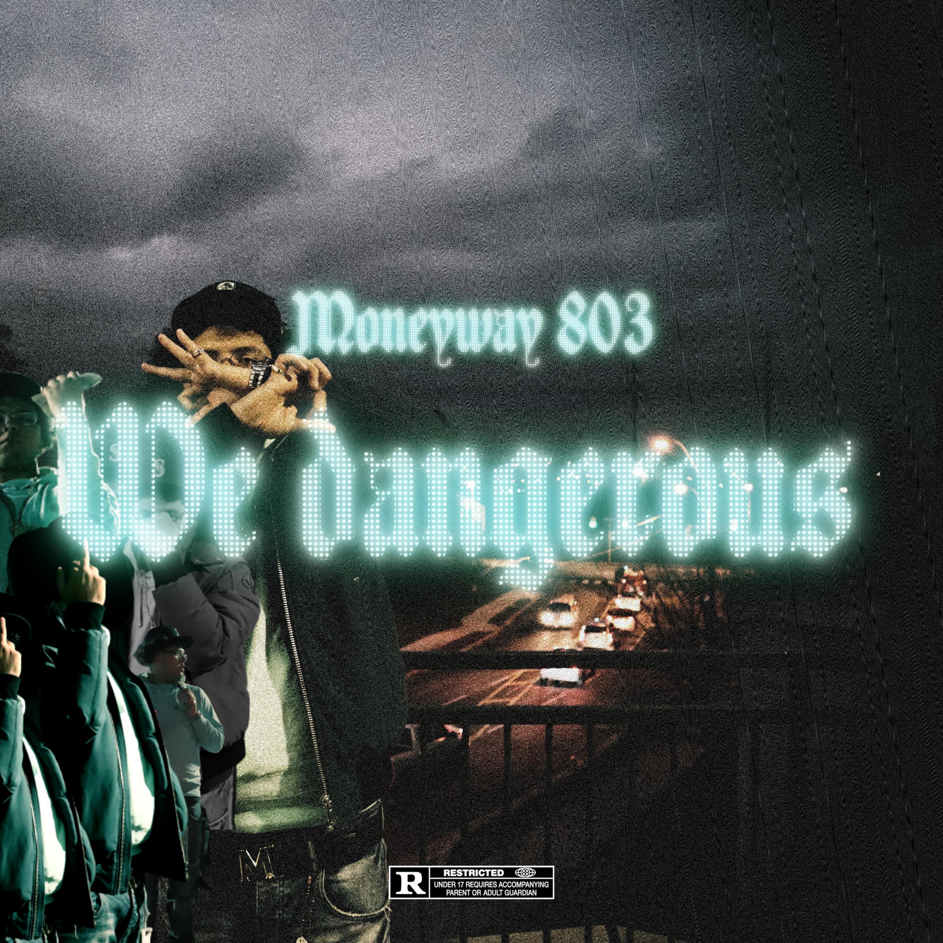 We Dangerous artwork