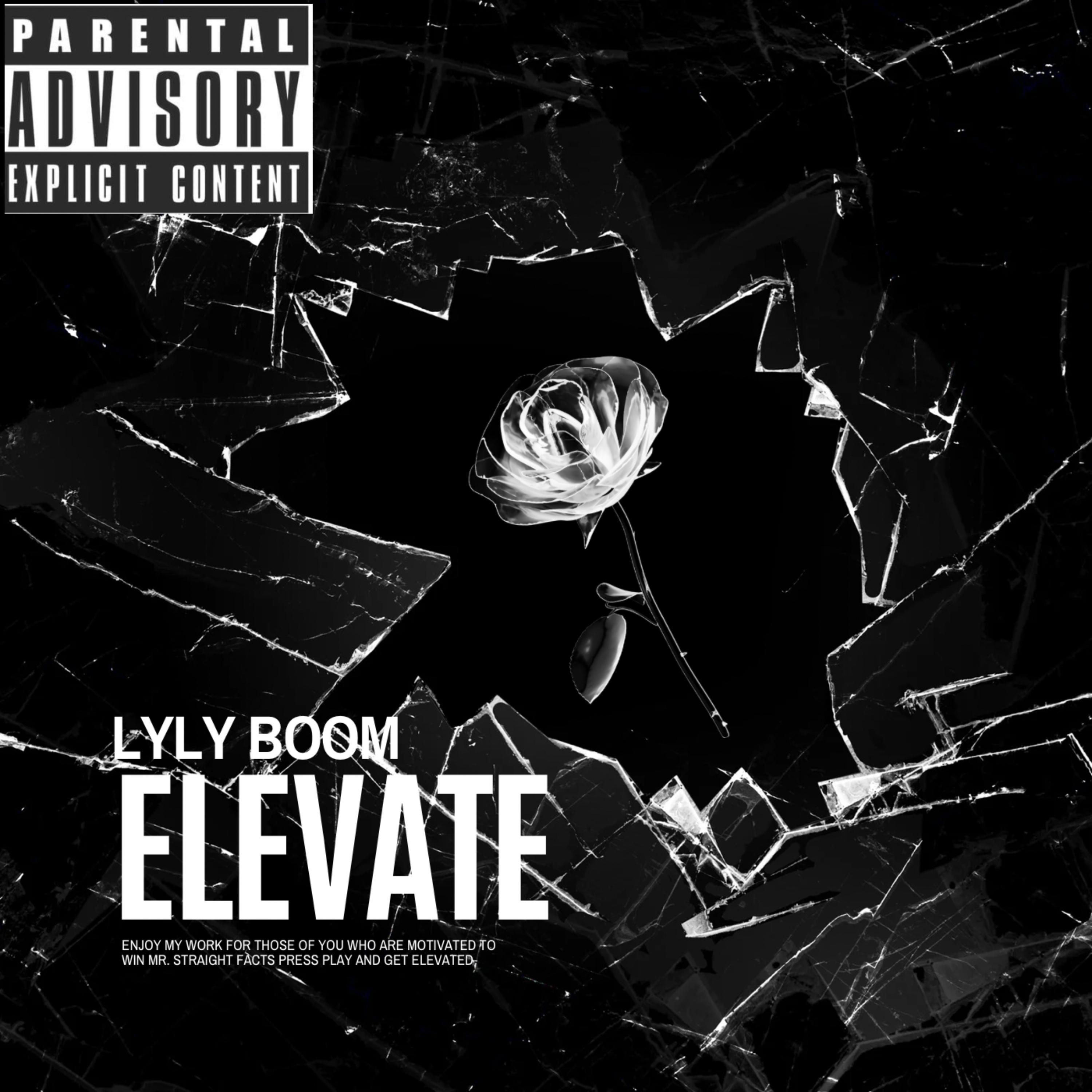ELEVATE artwork