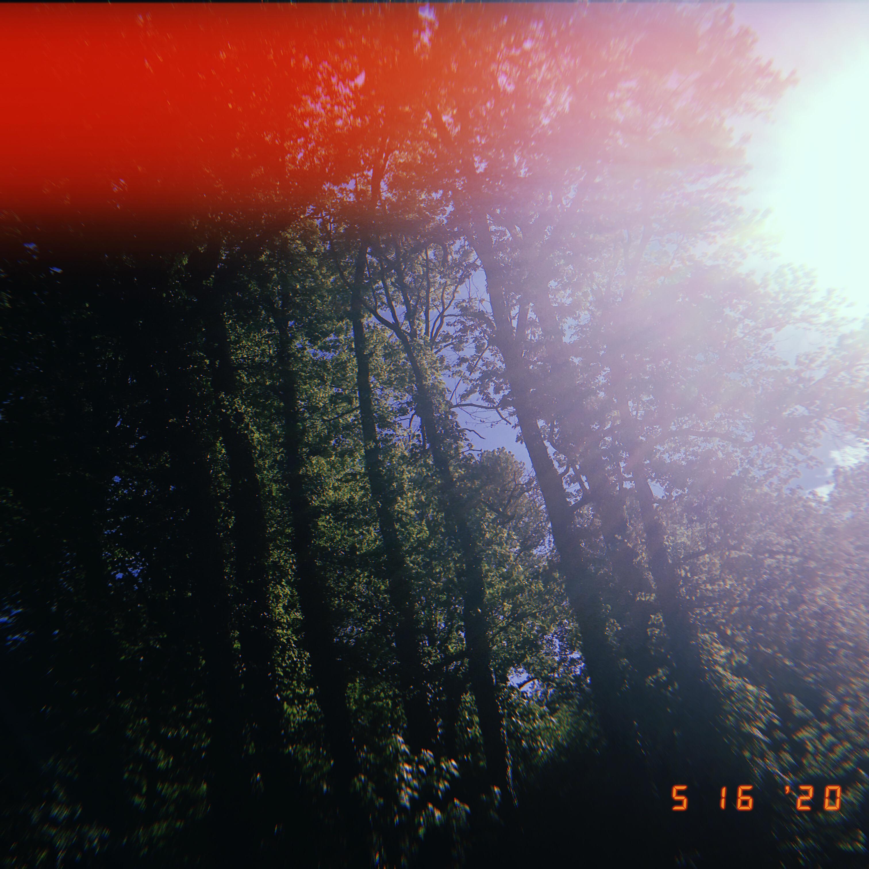 since the day you left artwork