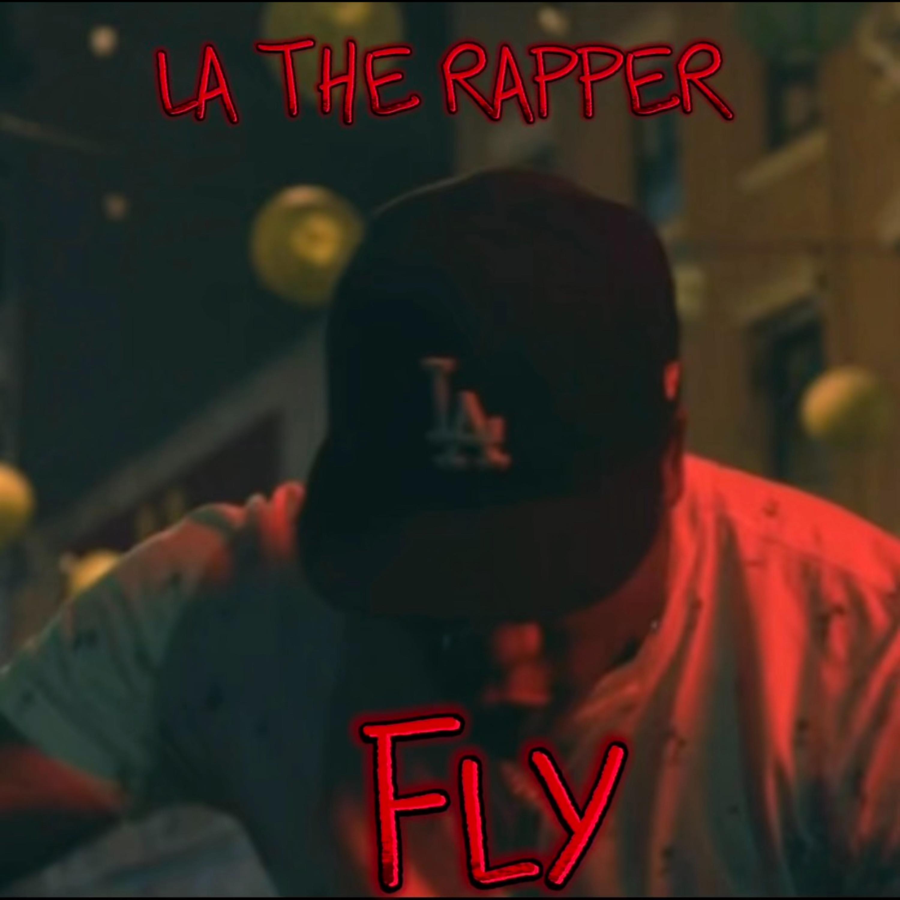 FLY artwork