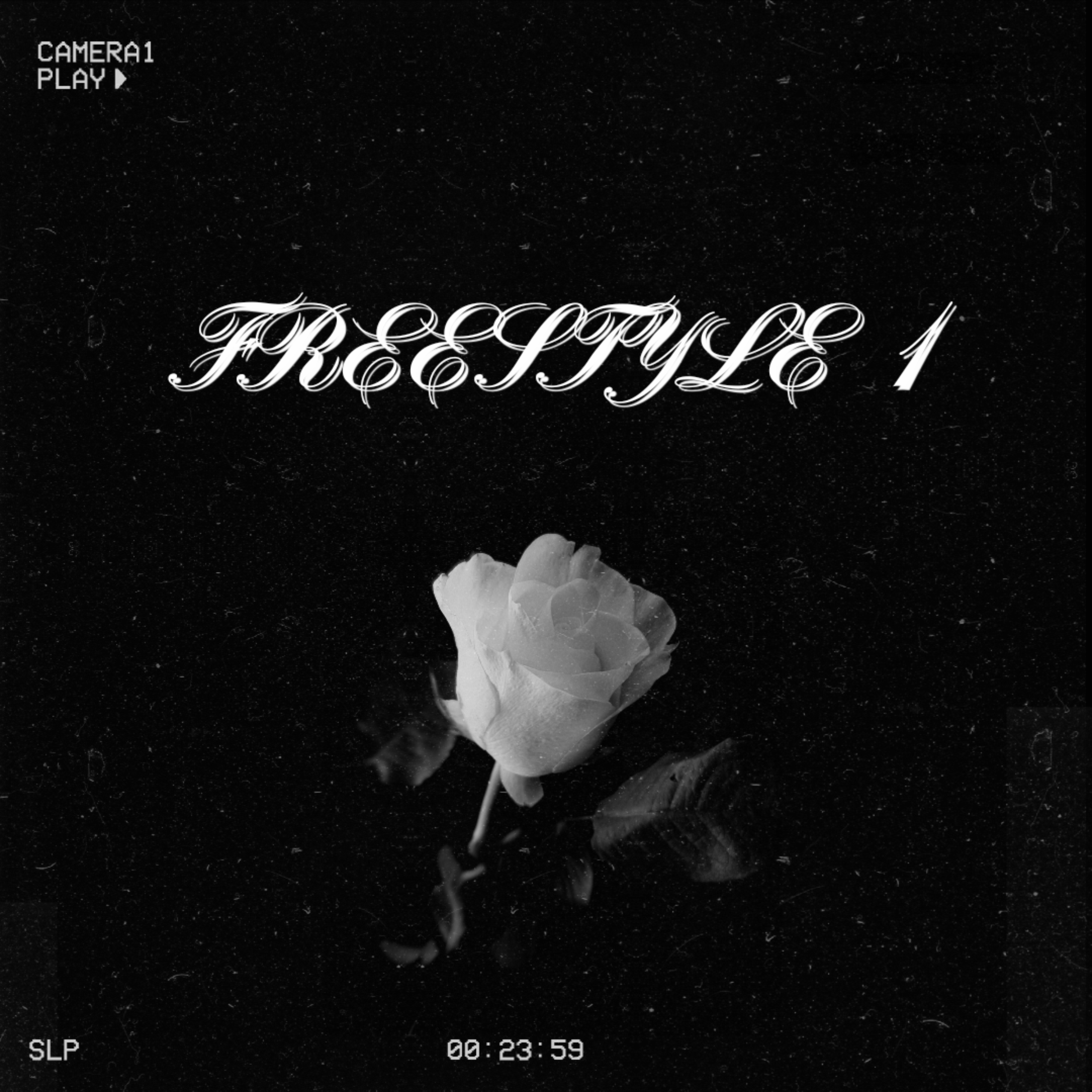 freestyle 1 artwork