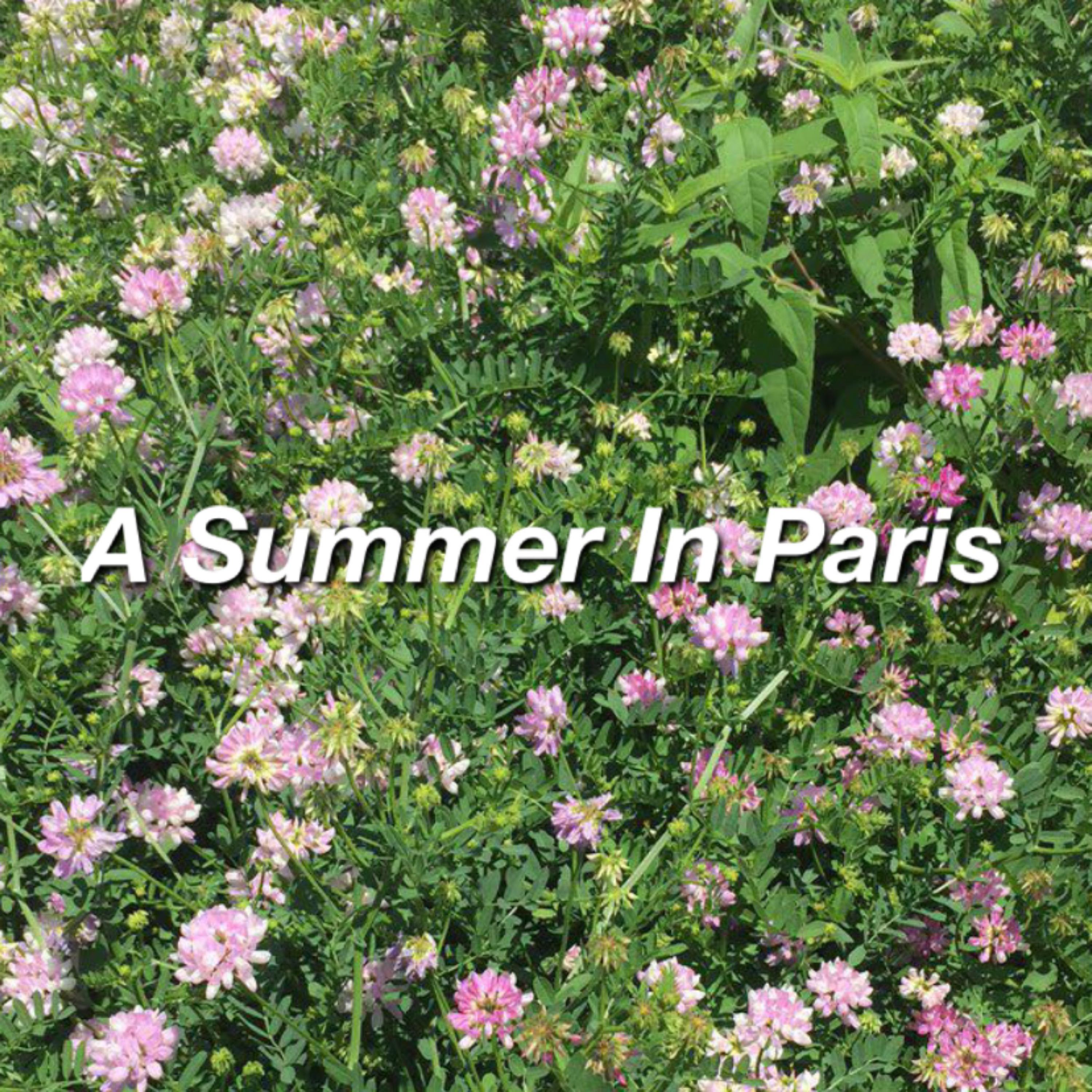 A Summer In Paris artwork