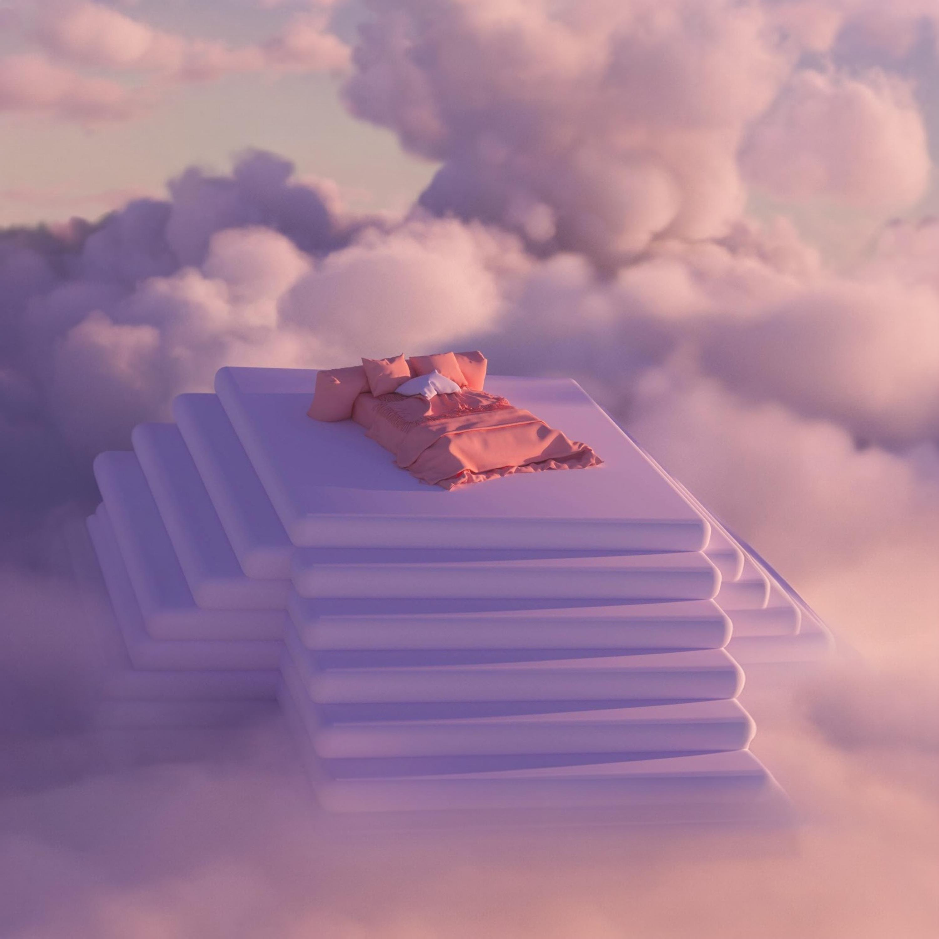 Le Vaut Rien qui Rve encore artwork