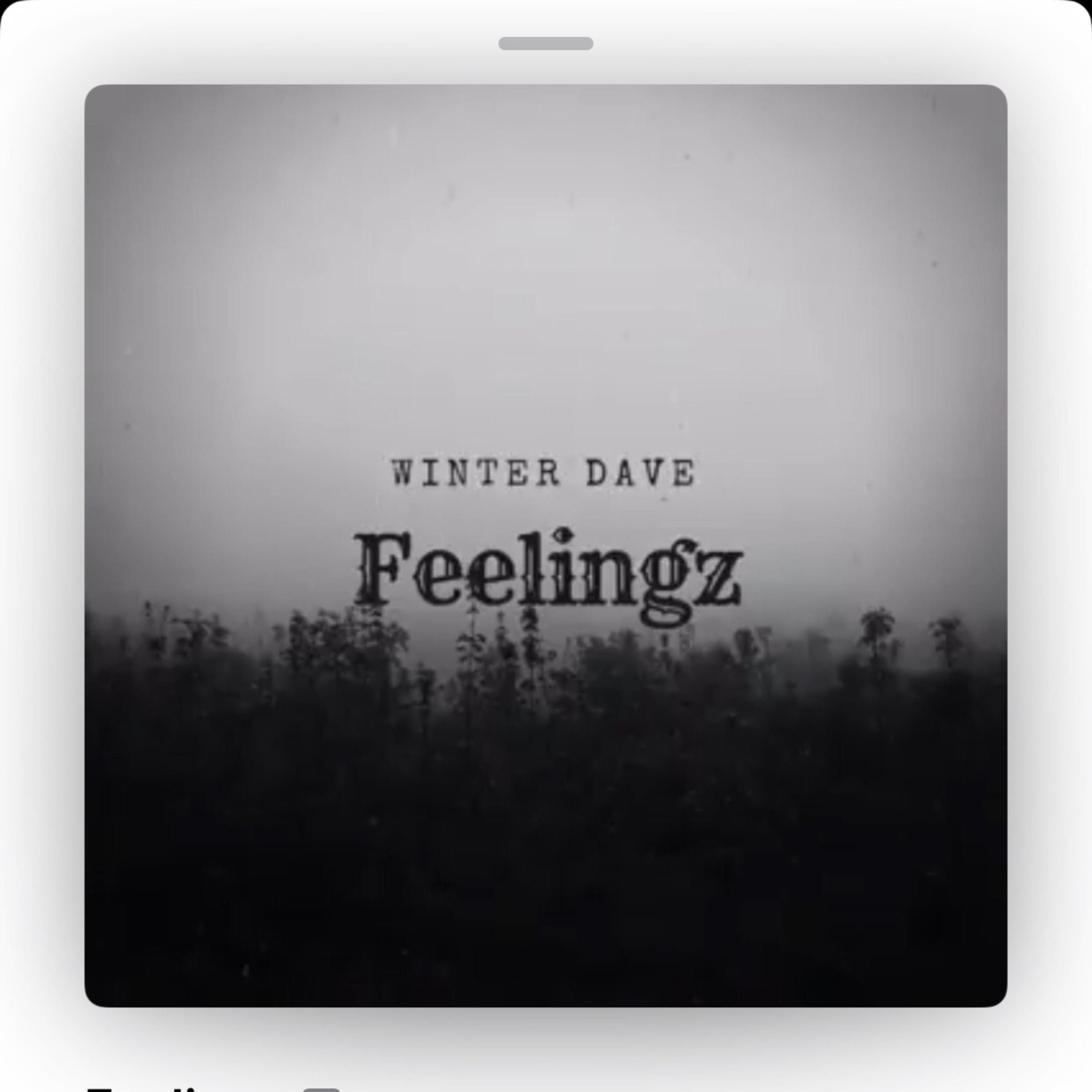 Feelingz artwork