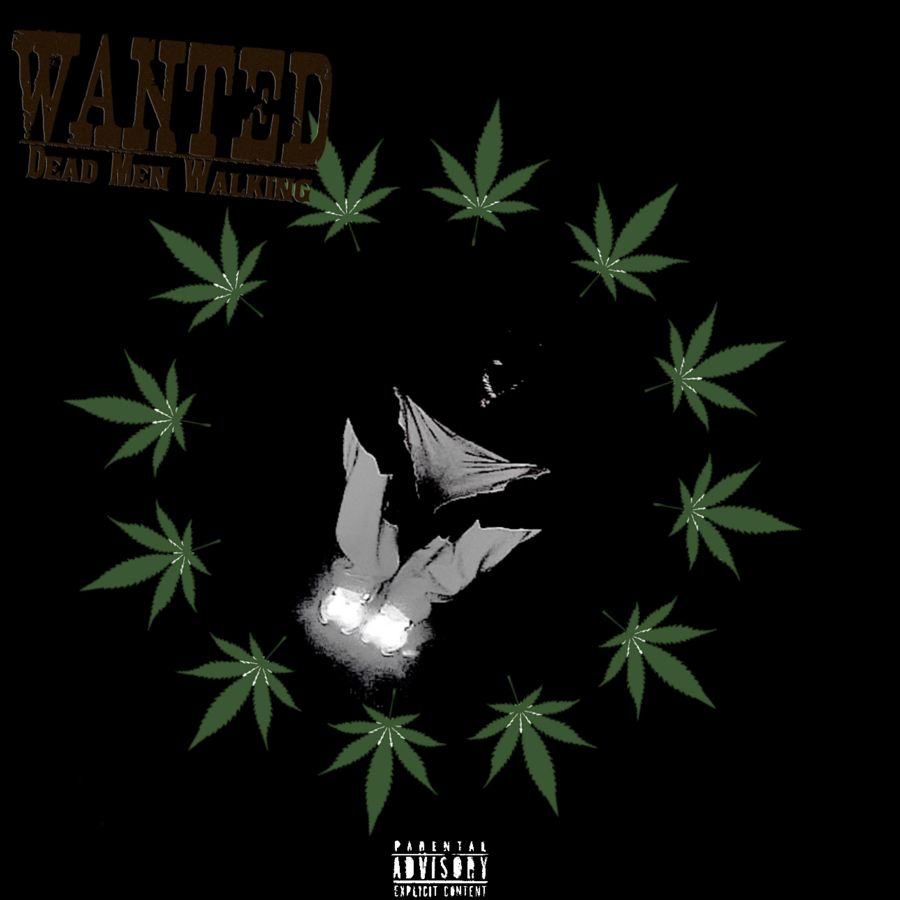 Most Wanted artwork