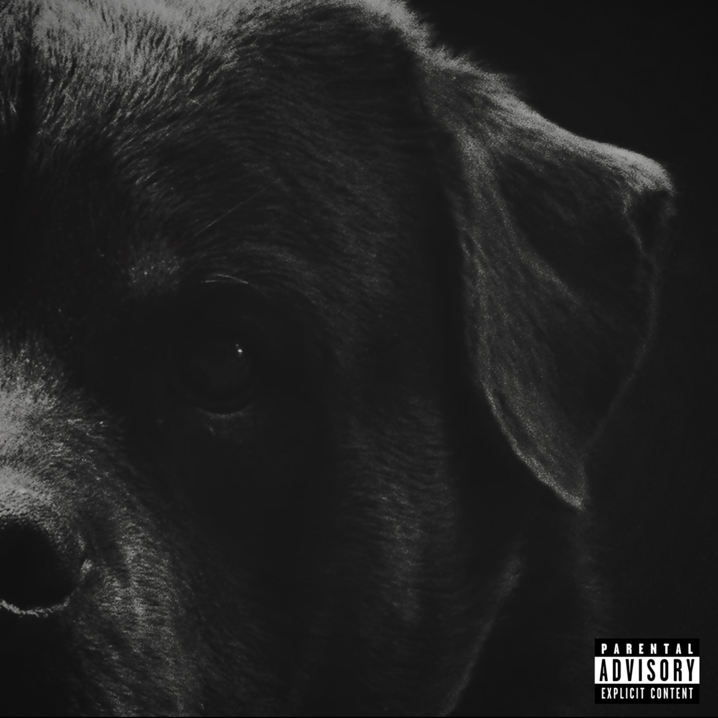 BEWARE OF DAWG artwork