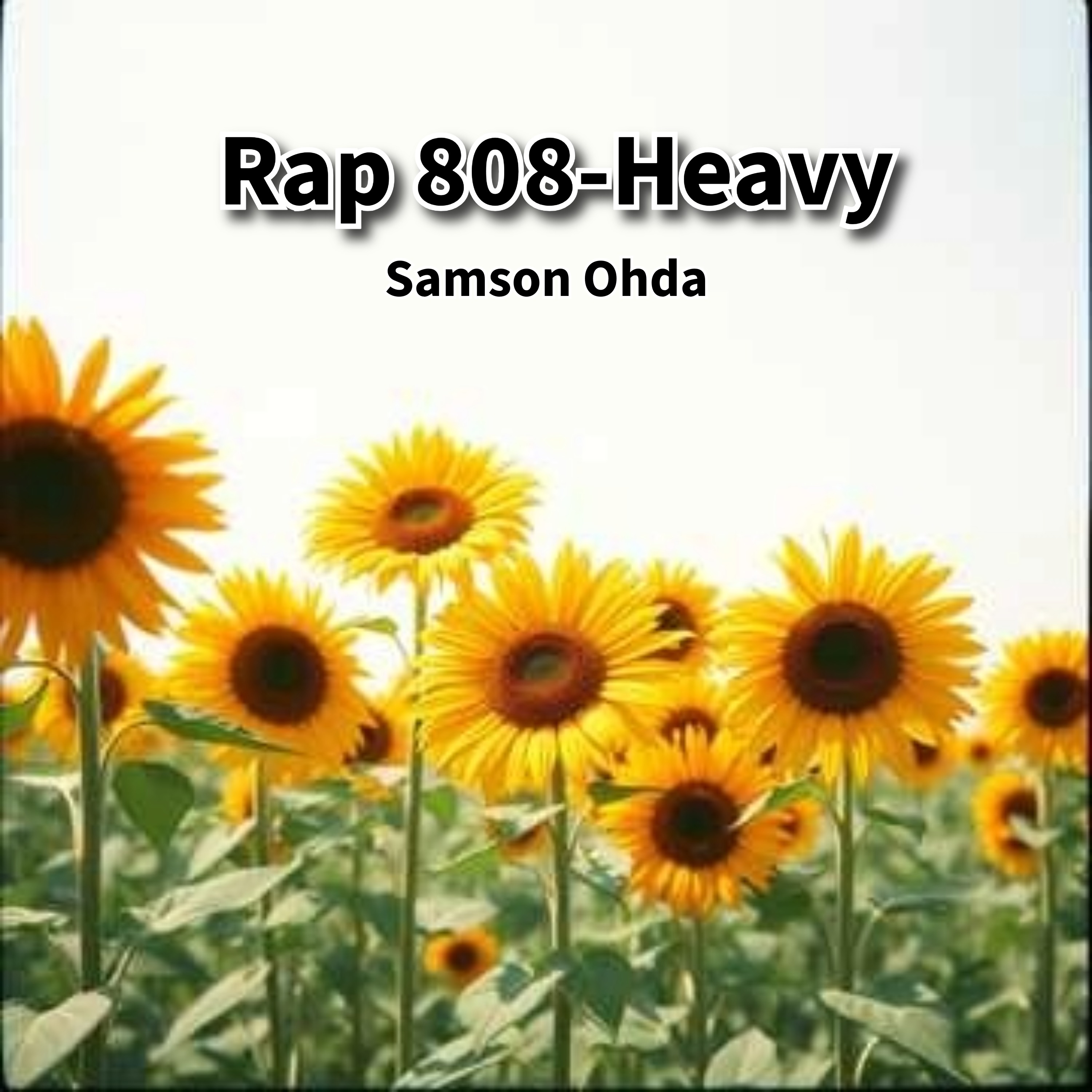 Rap 808-Heavy Vol 4 Album artwork