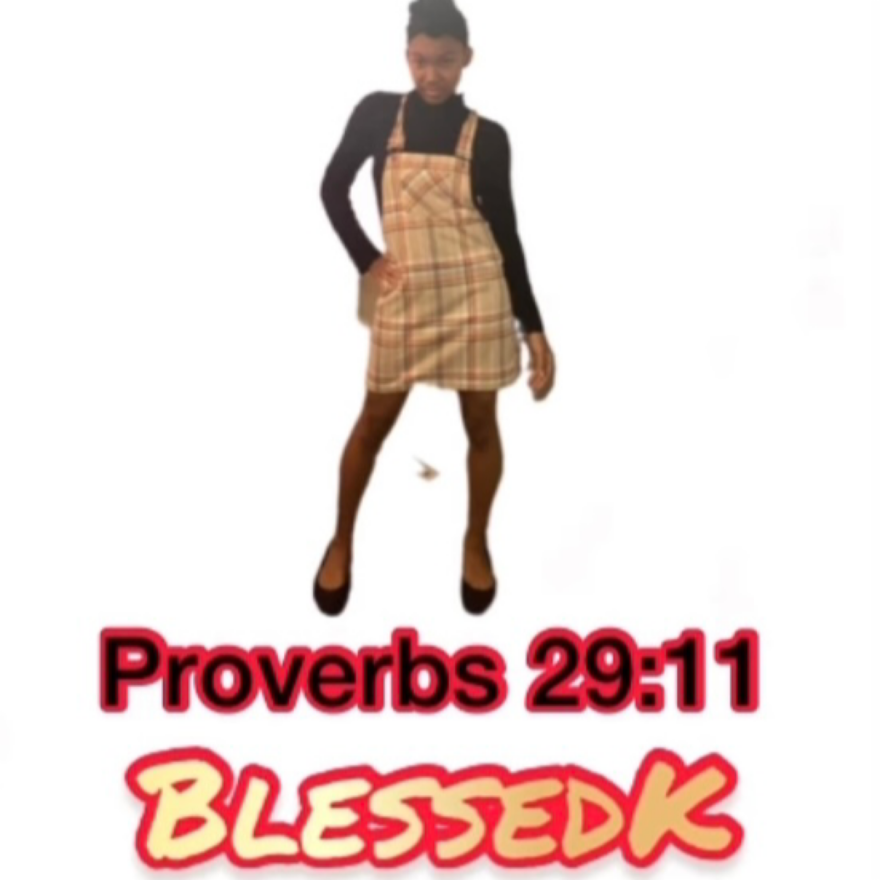 Proverbs 29:11 artwork