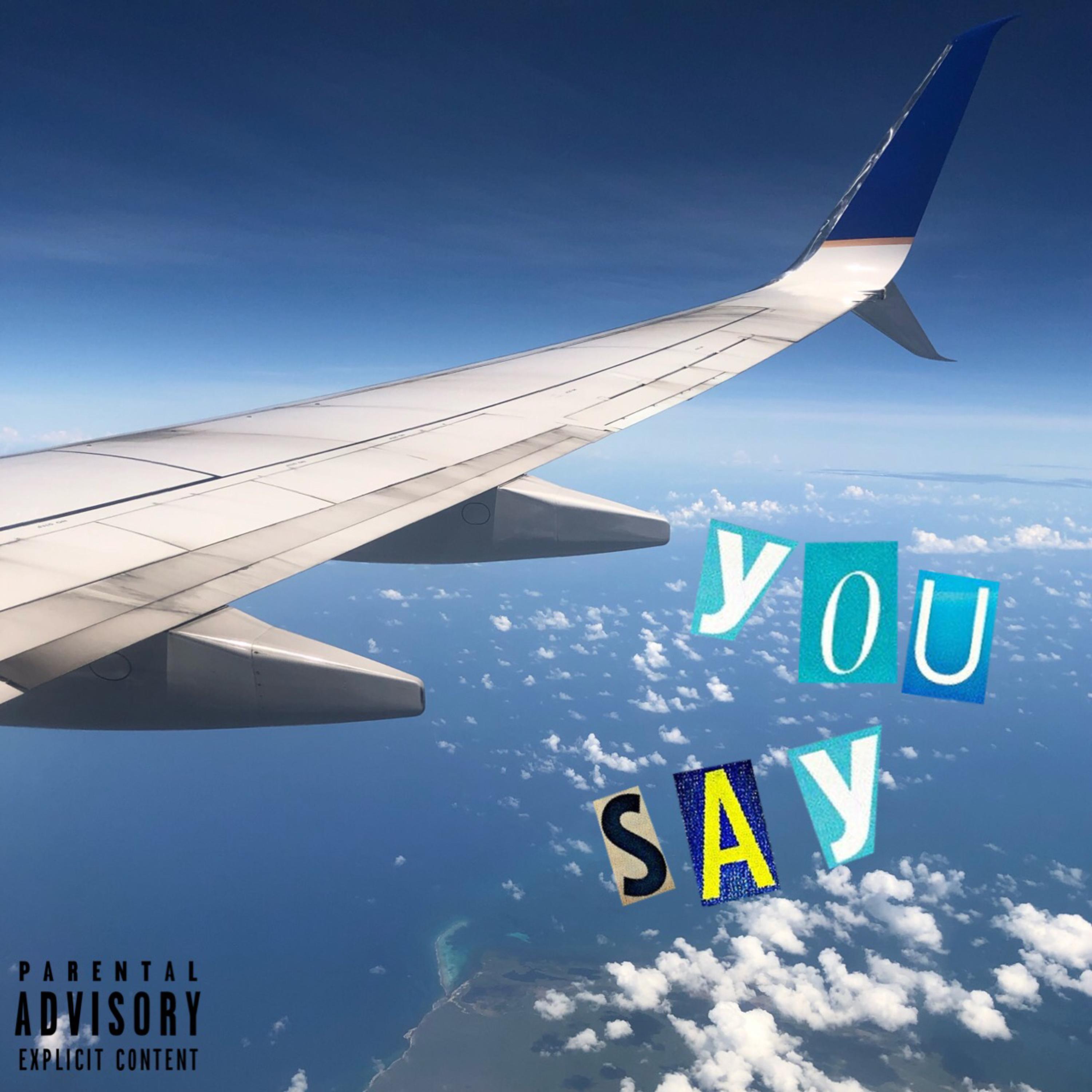youSay artwork