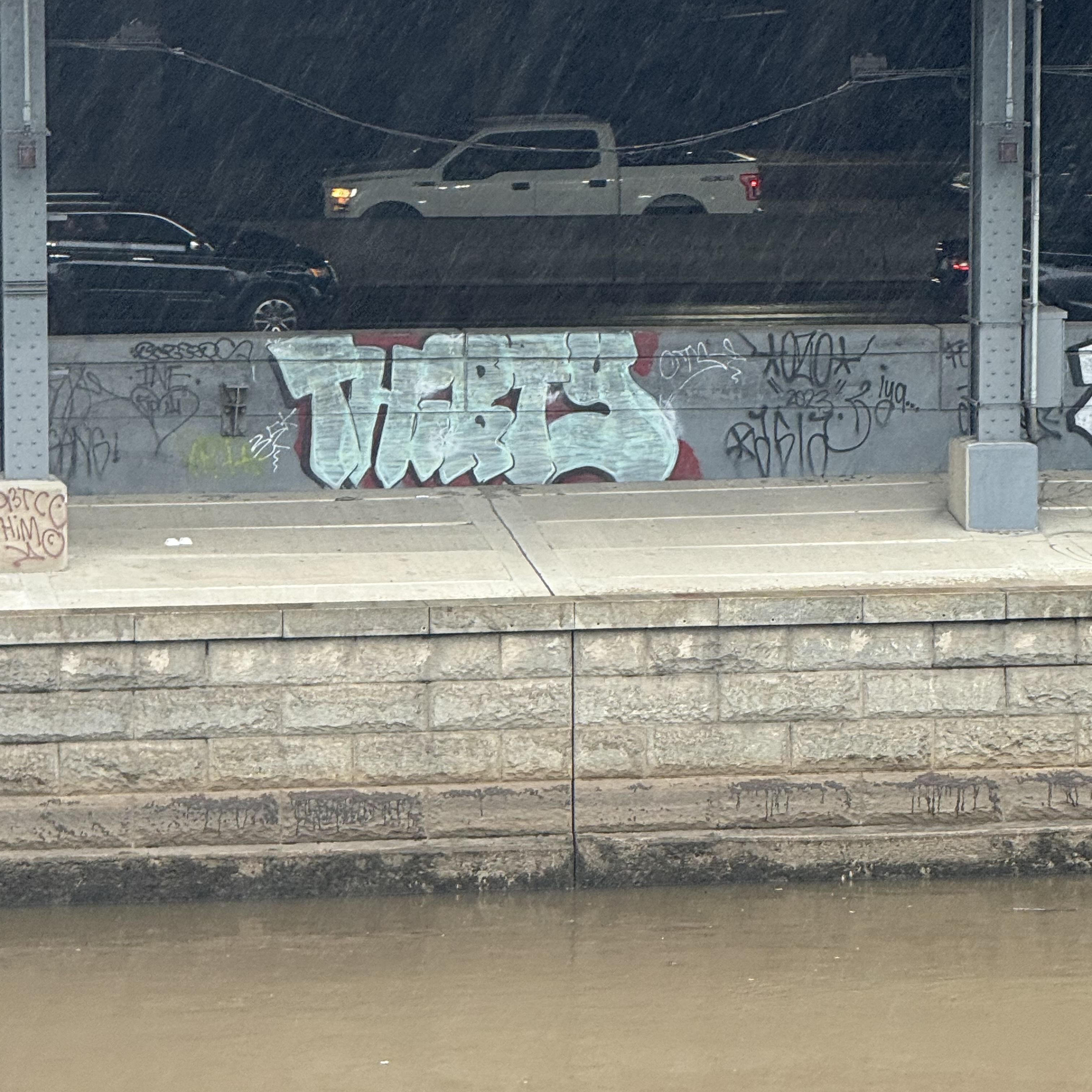 The Worst Type artwork