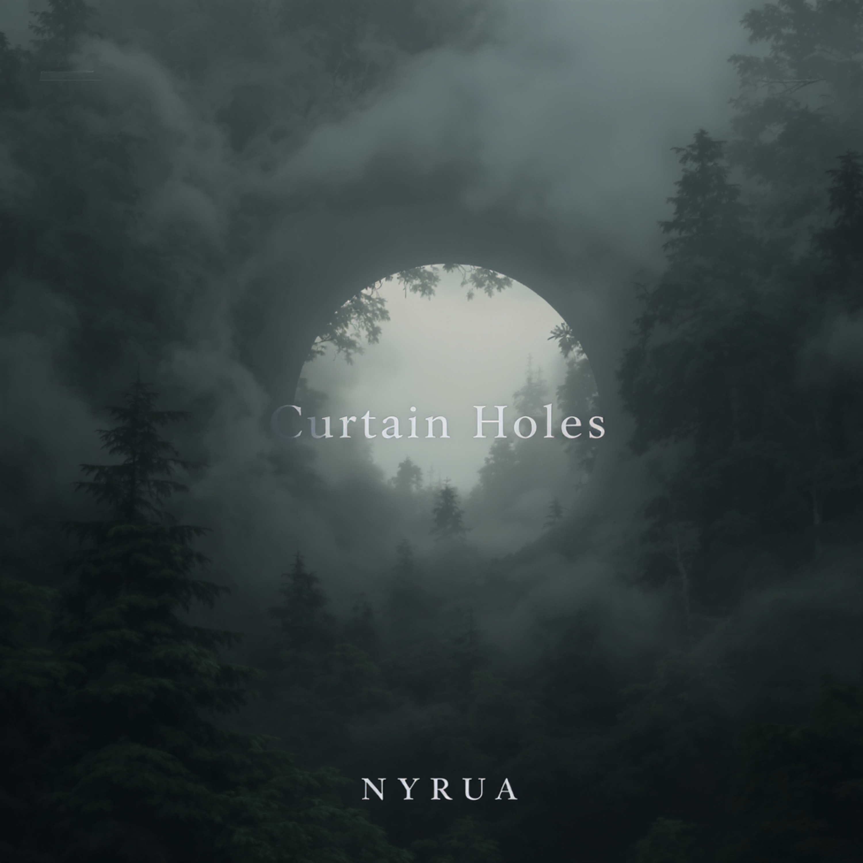 Curtain Holes artwork