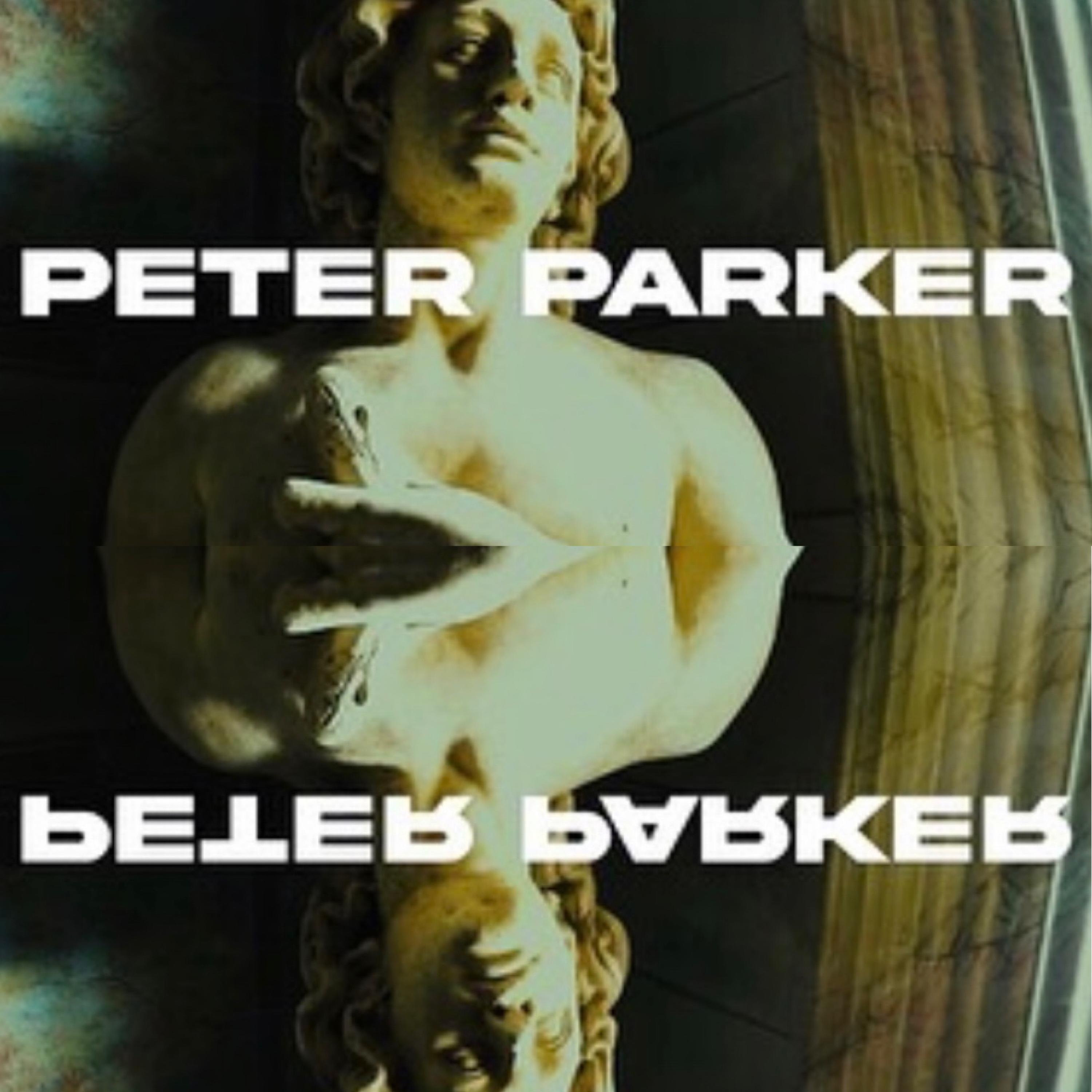 Peter Parker (Remix) artwork