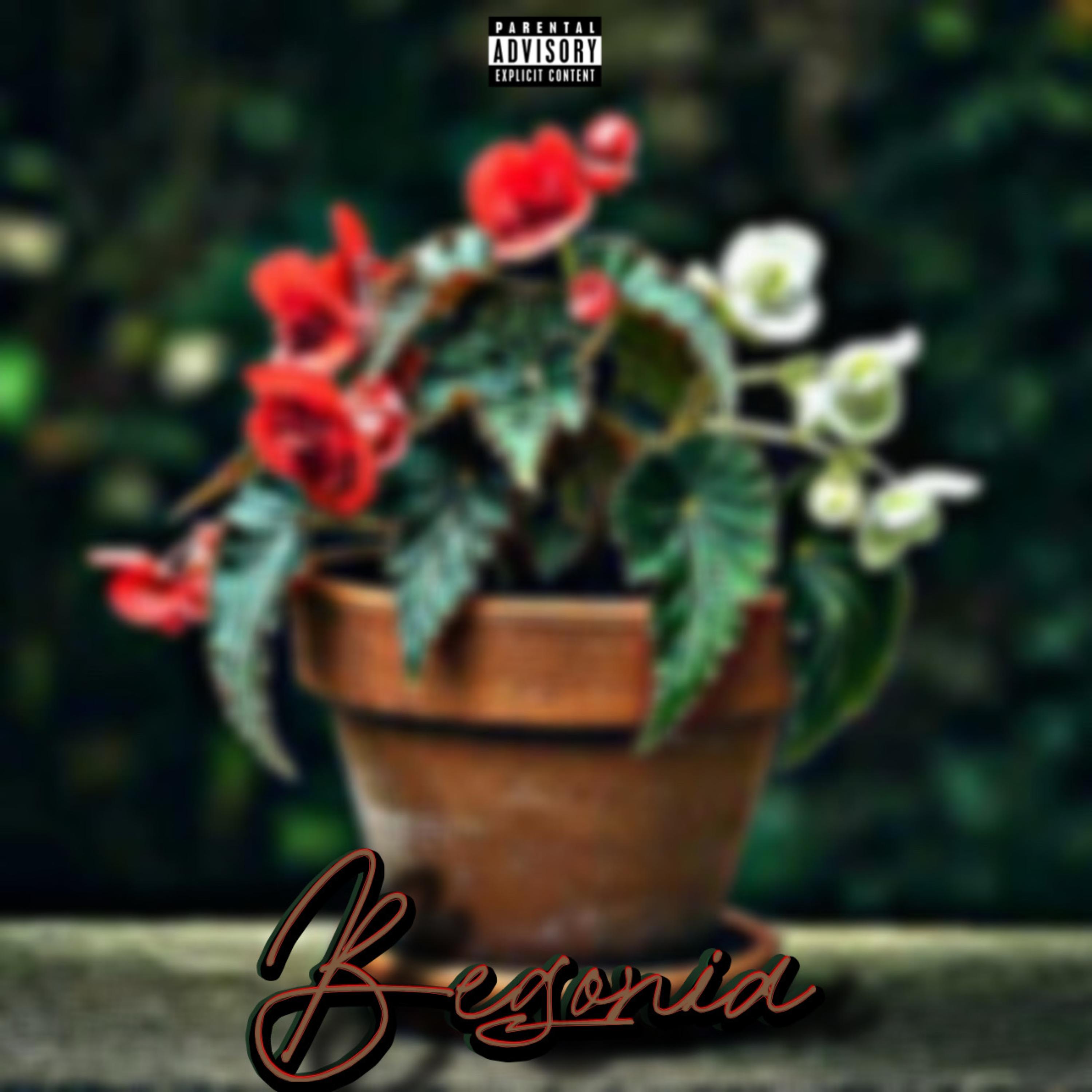 Begonia artwork