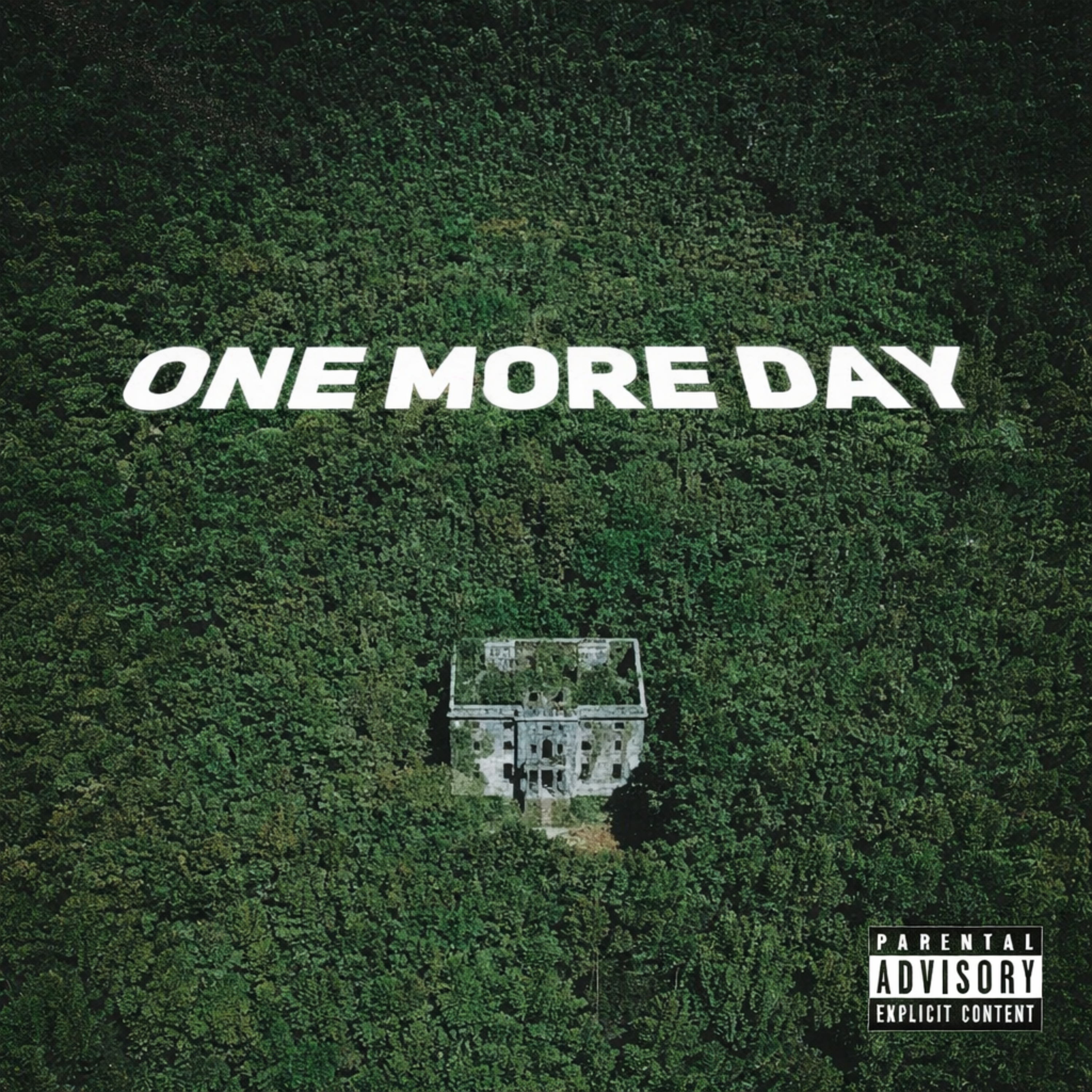 One more day artwork