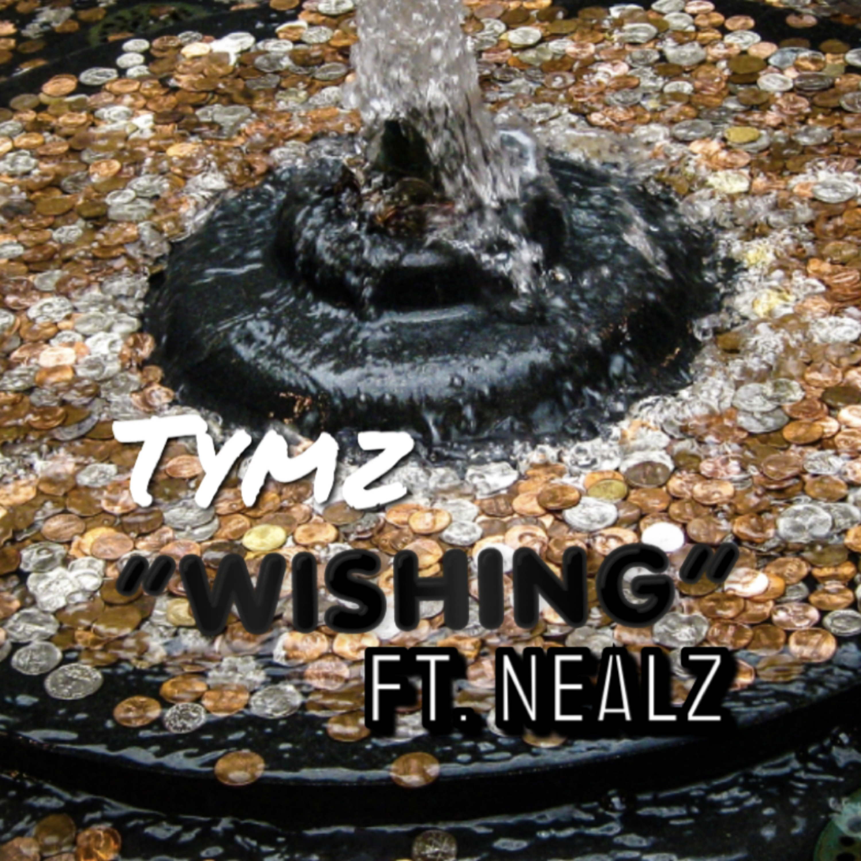 Wishing by Tymz cover art