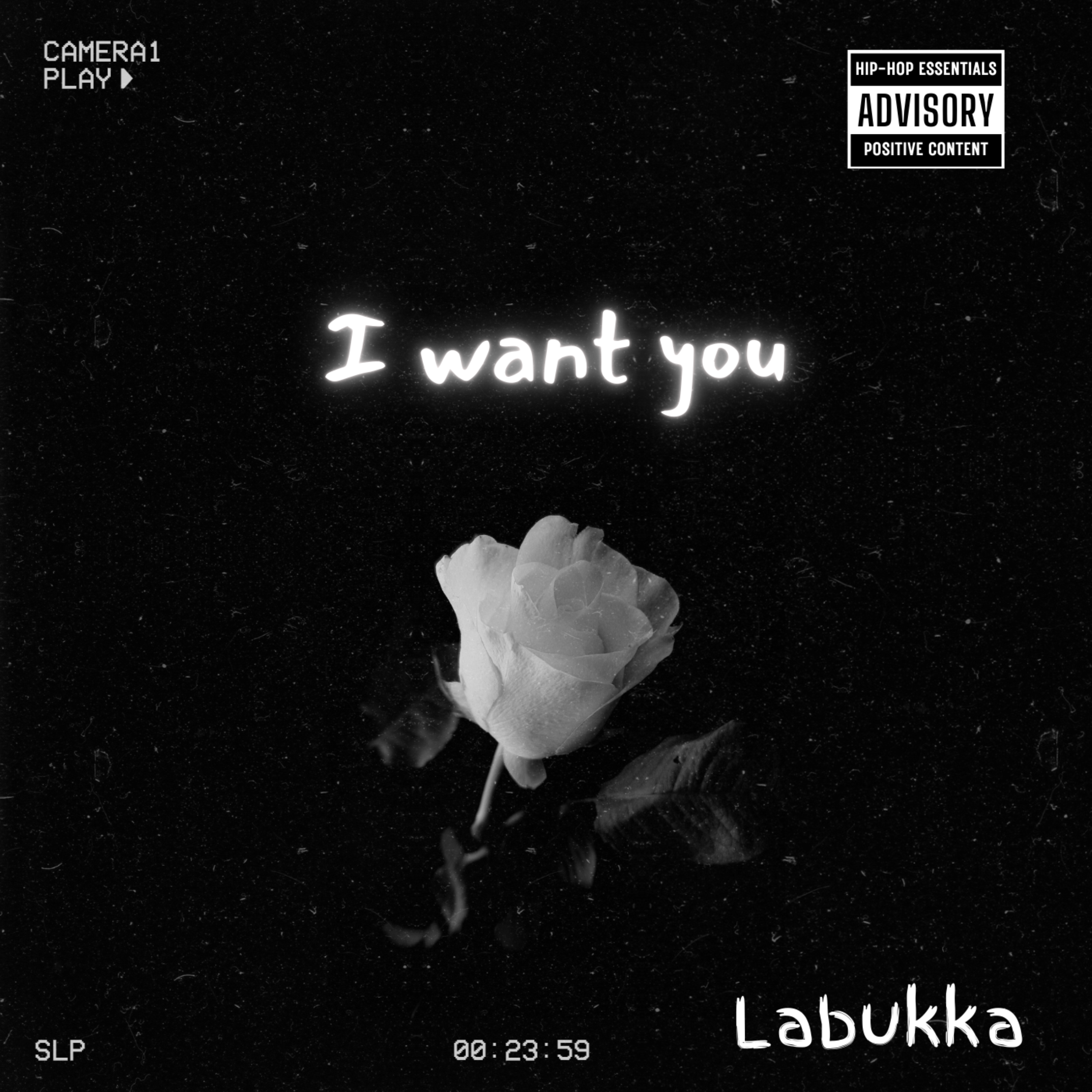 I Want you artwork