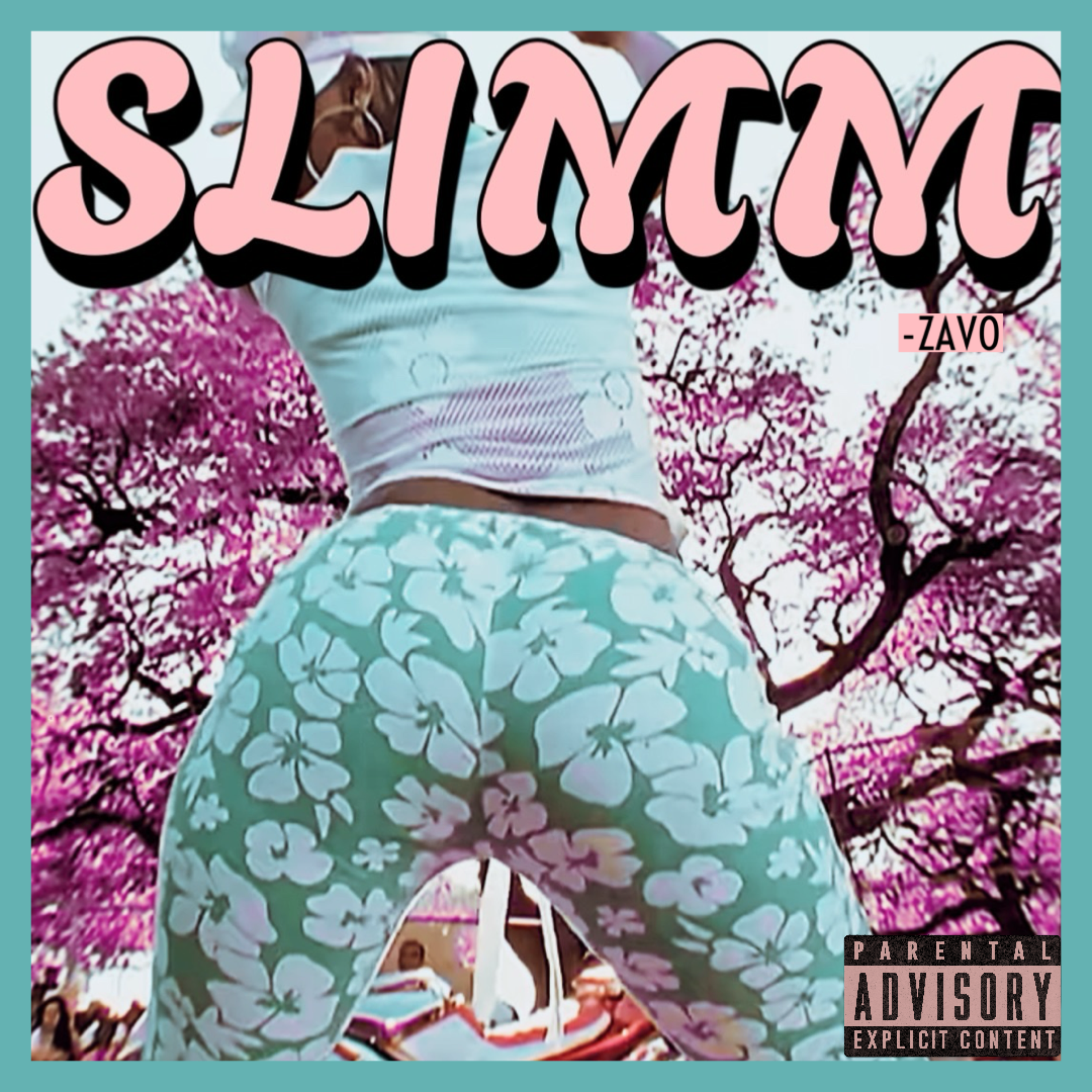 SLIMM artwork